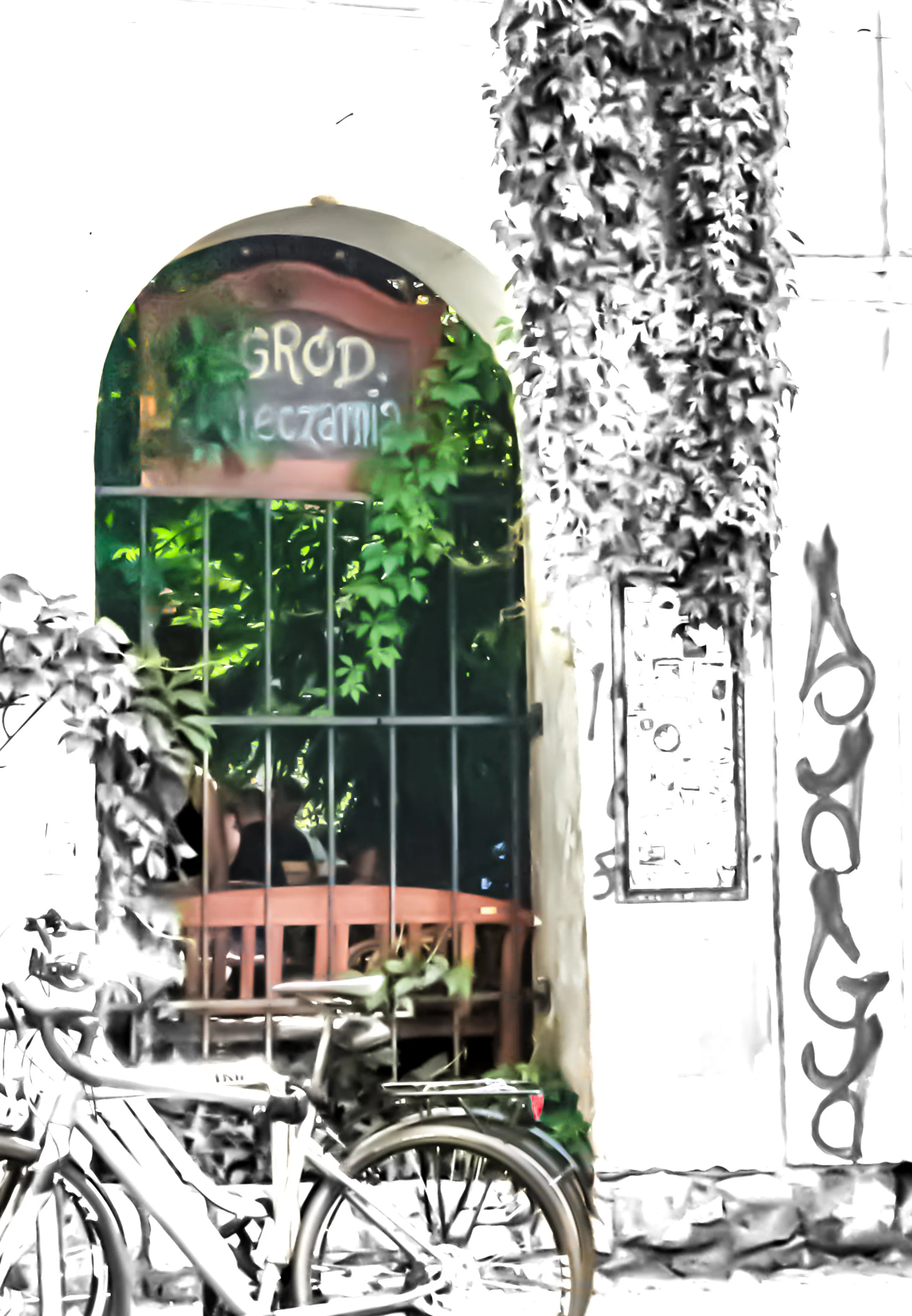 A metal bicycle with multiple gears parked in front of a small shop window, surrounded by black and white leaves and vines, with the word 'GROD' visible on the shop window.