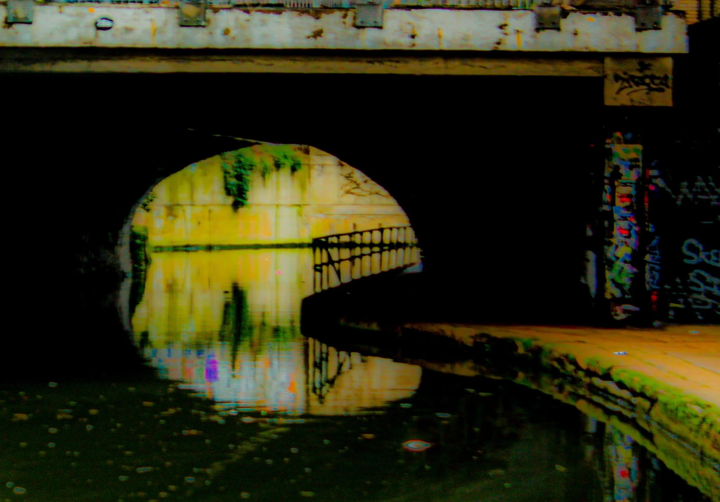 A graffiti-covered bridge over a body of water with fallen leaves on the ground.