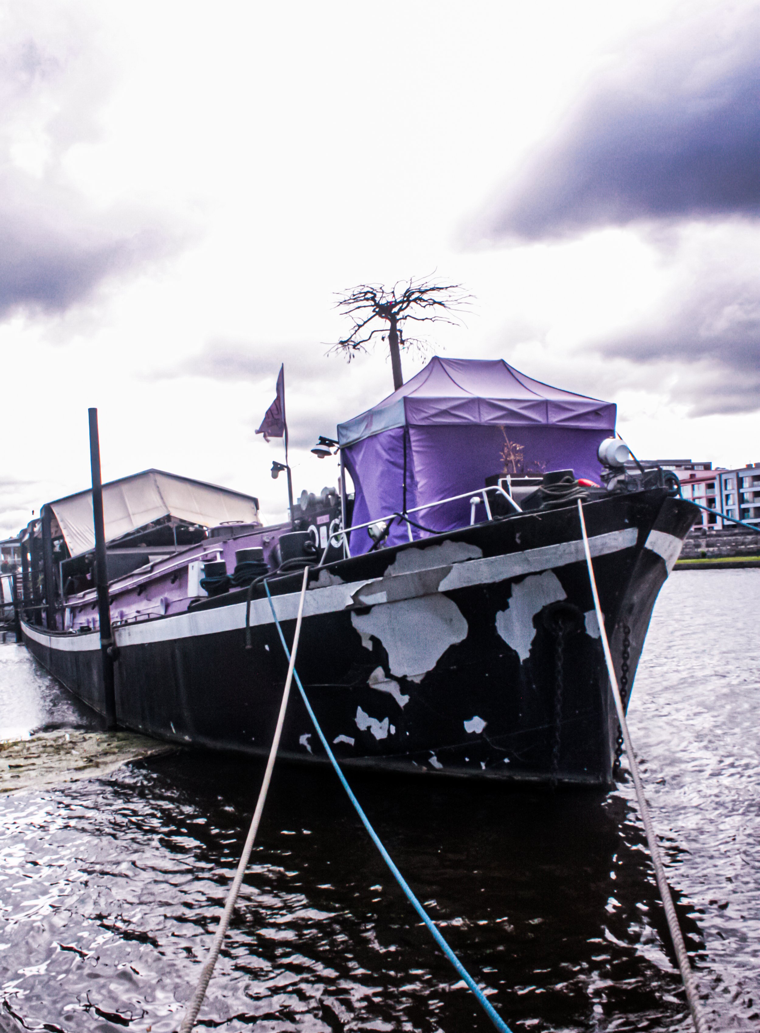 A boat with a purple canopy, some equipment, and a dead tree is docked on the water, with cloudy skies above.