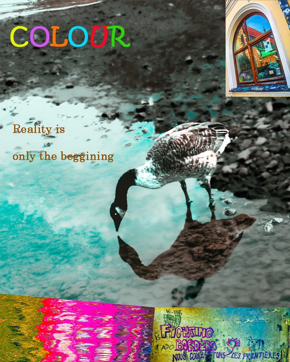 A photo collage featuring a rainbow-colored 'COLOUR' text at the top, a picture of a window with a colorful reflection of buildings, a quote that reads 'Reality is only the beginning' in brown text, a black and white bird drinking from a small puddle, a vibrant pink and yellow reflection on water at the bottom, and graffiti with the words 'Fighting Borders' and 'Nous Combattons Les Frontieres'.