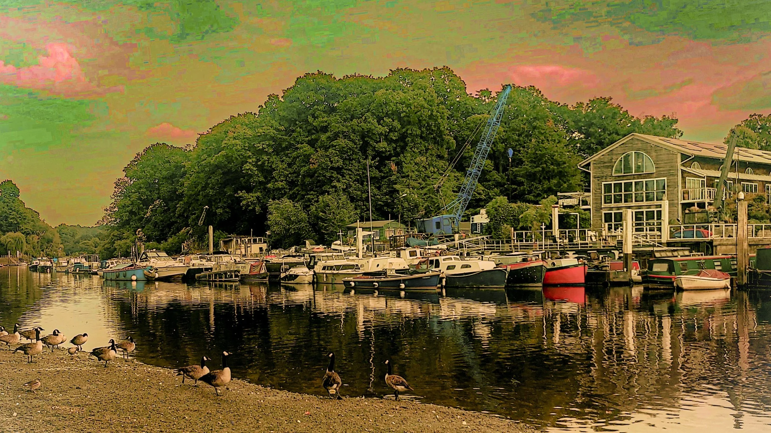A dock with boats along a calm body of water, ducks on the shore, lush green trees, and a house with large windows under a colorful sky.