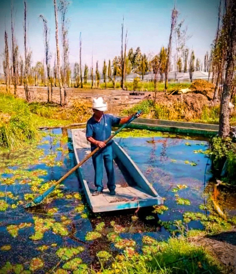 A person paddling a small boat through a pond with lily pads, surrounded by tall, leafless trees and fields during daytime.