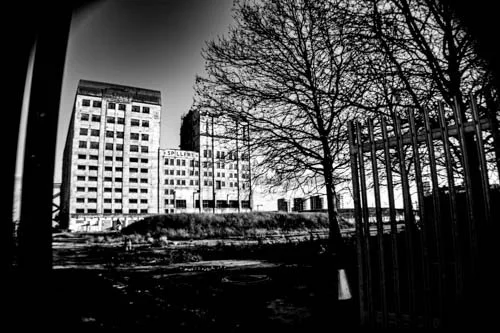 Black and white photo of a cityscape with tall buildings, a leafless tree, and a metal fence.