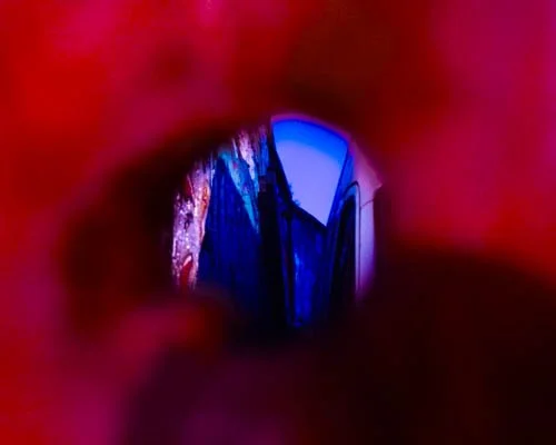 Close-up of an open mouth with visible teeth looking out at a window with blue curtains.