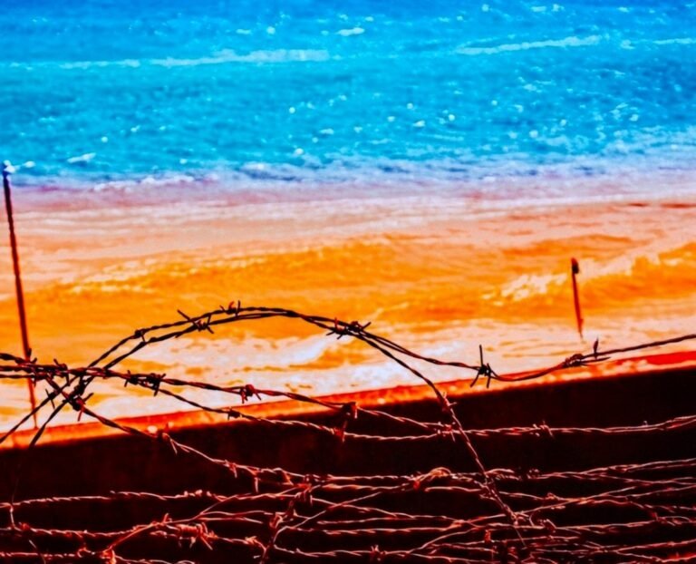 Barbed wire fence in front of a beach with orange sand and blue ocean water.