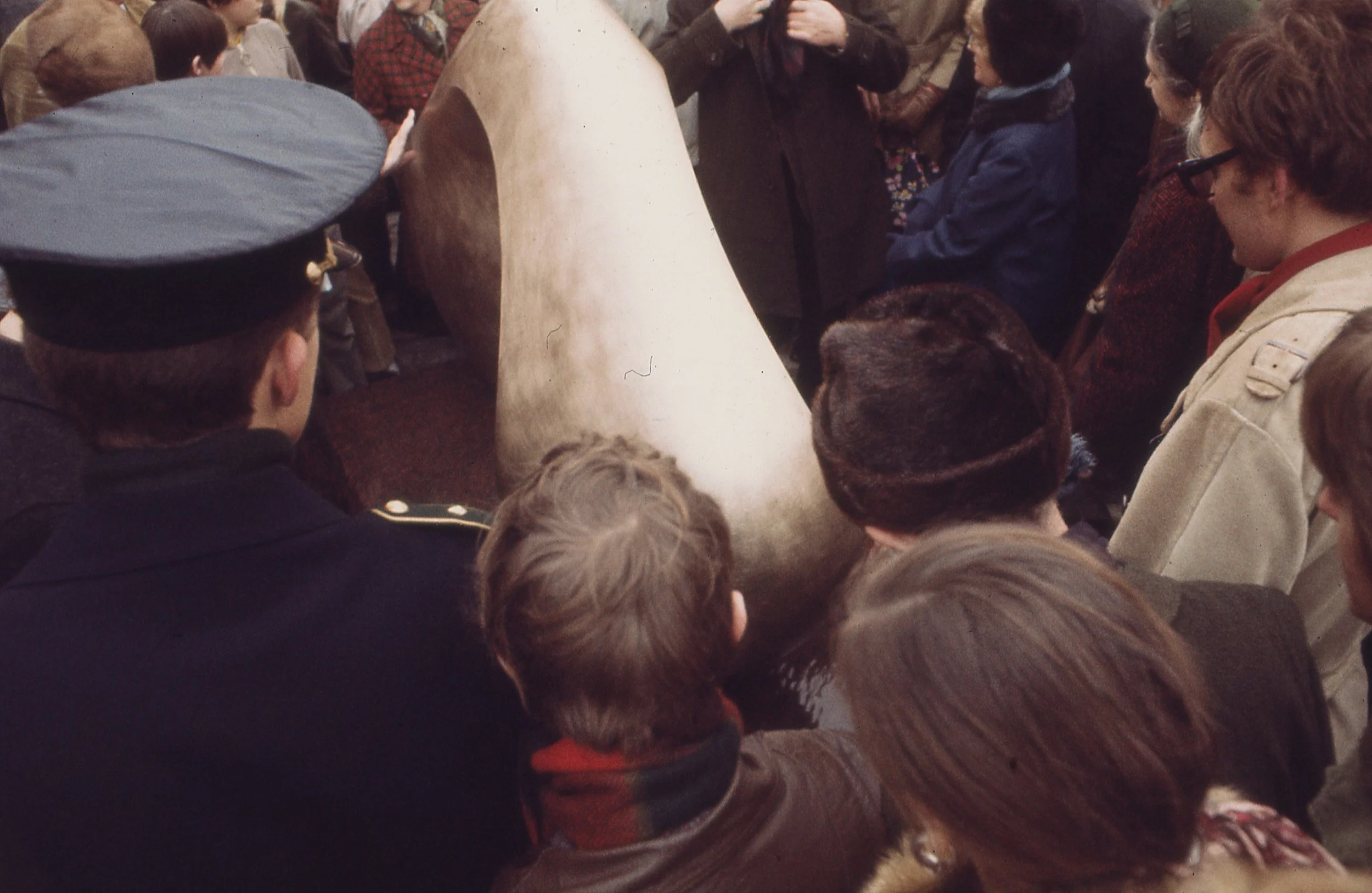 Image 005.jpg