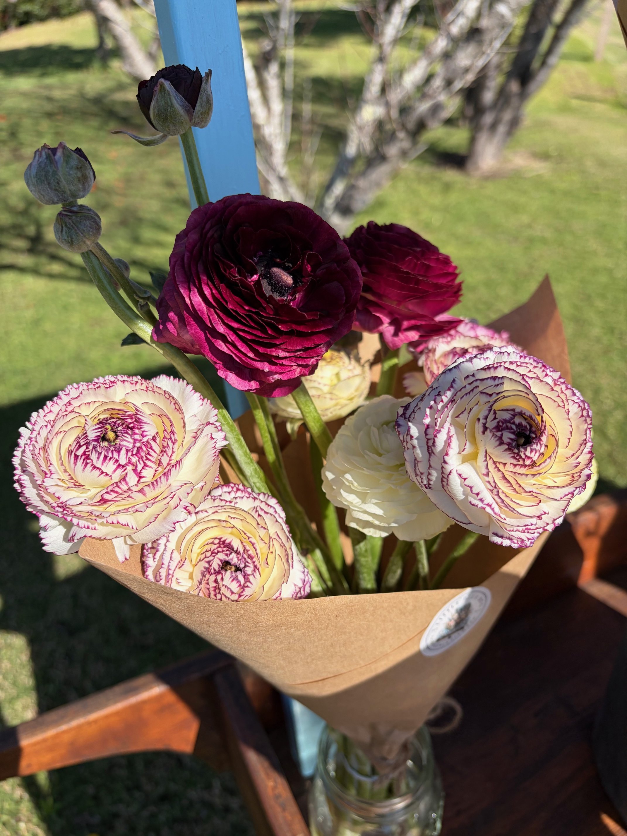 Ranunculus