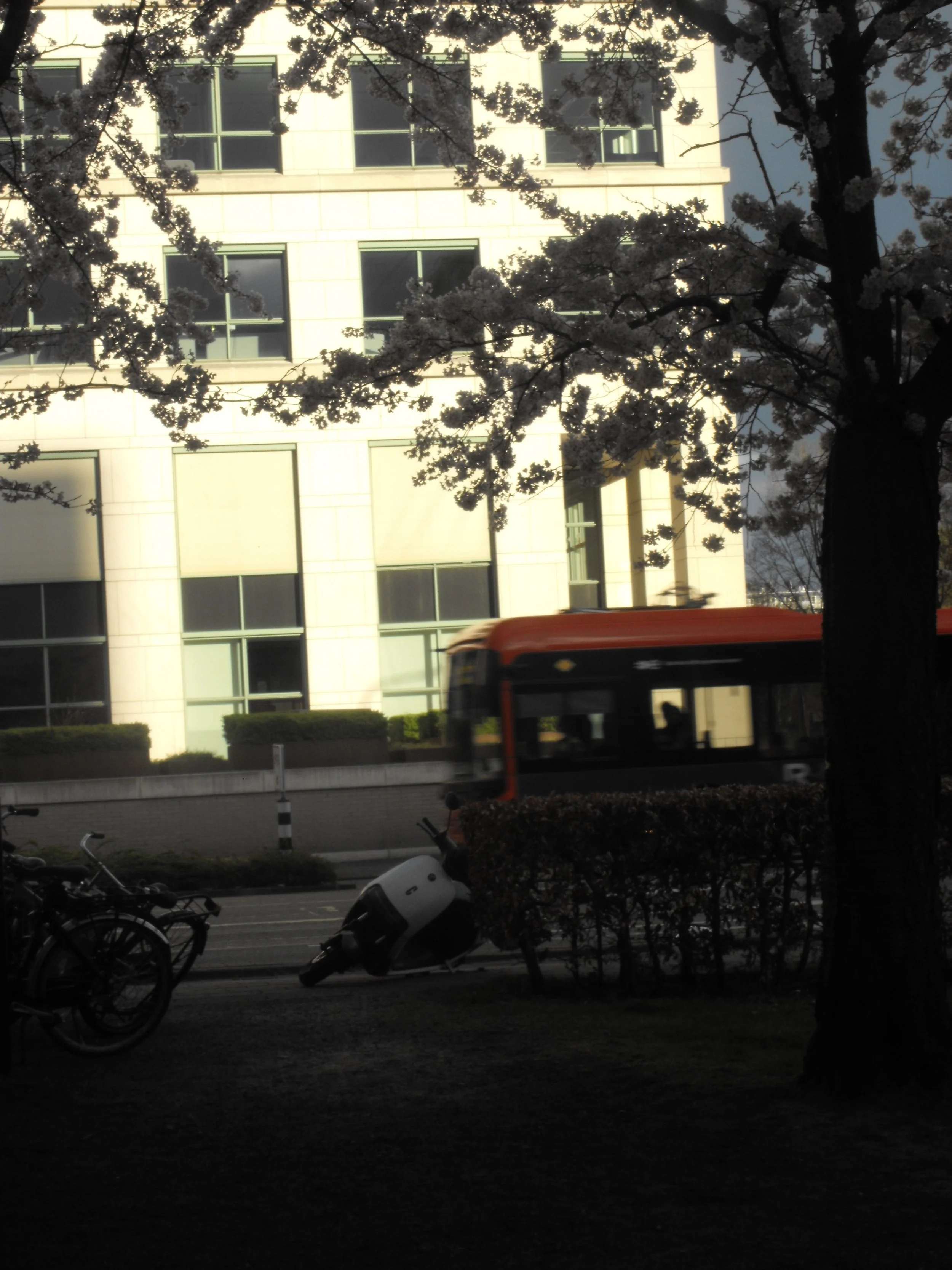 DSCF1843.jpg