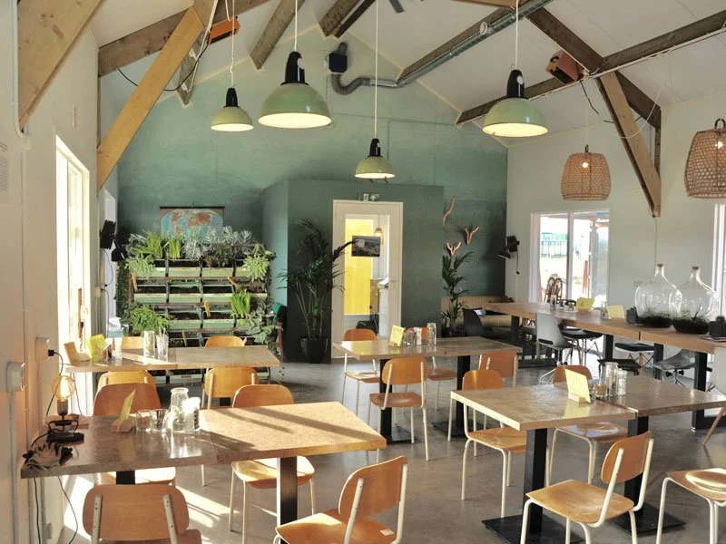 Interior of a modern cafe or restaurant with wooden tables and chairs, hanging pendant lights, decorative plants, and large glass vases on a long sideboard, with natural light coming through windows.