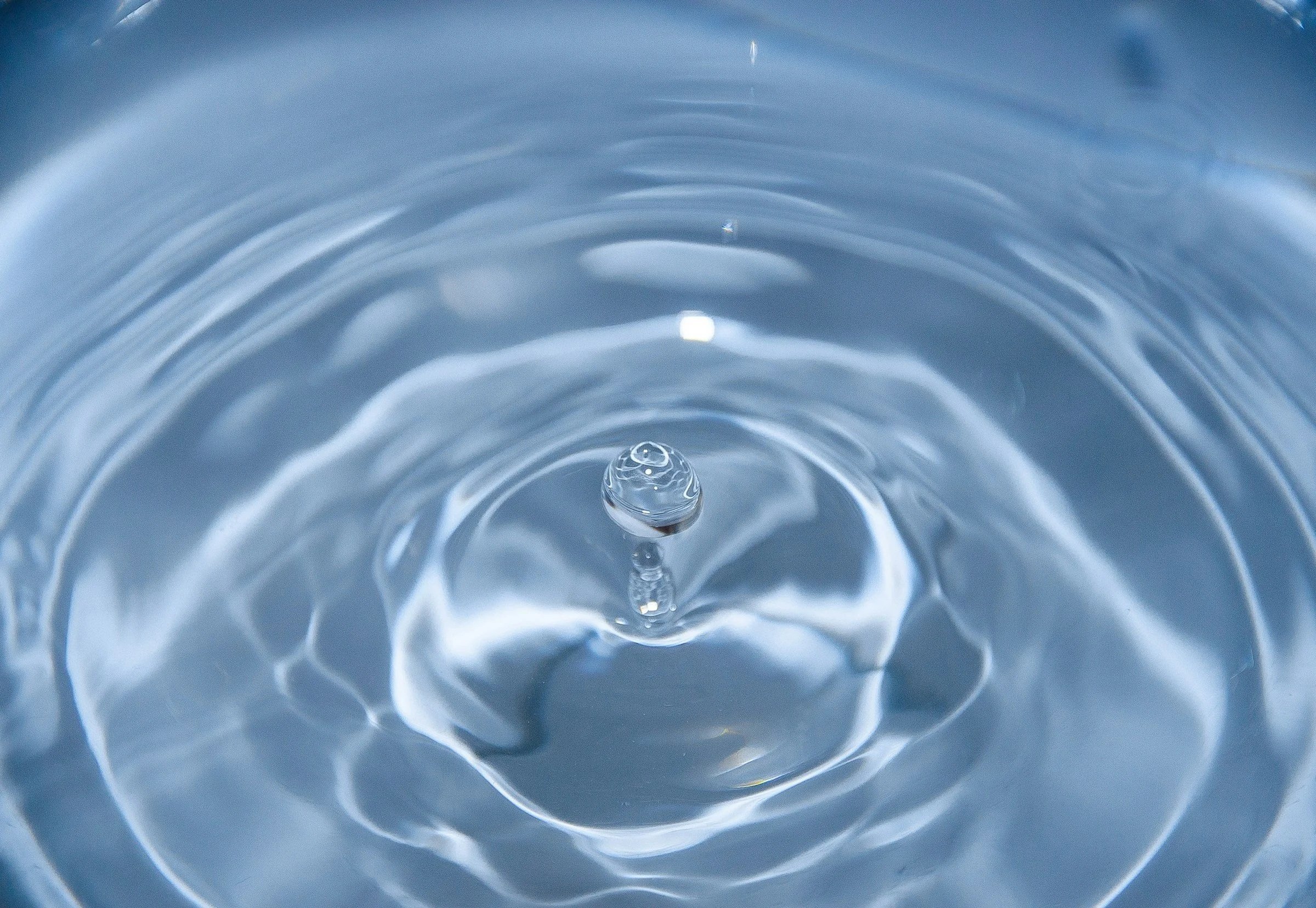 Coaching en marchant, des pensées plus fluides