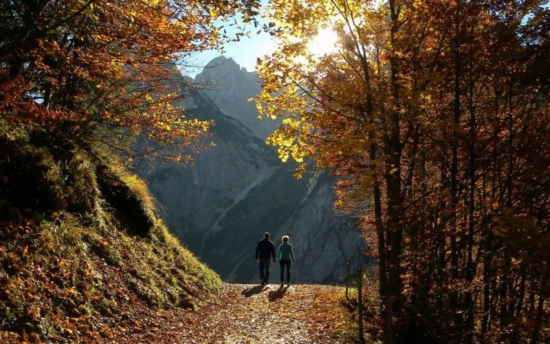 Coaching en marchant en nature