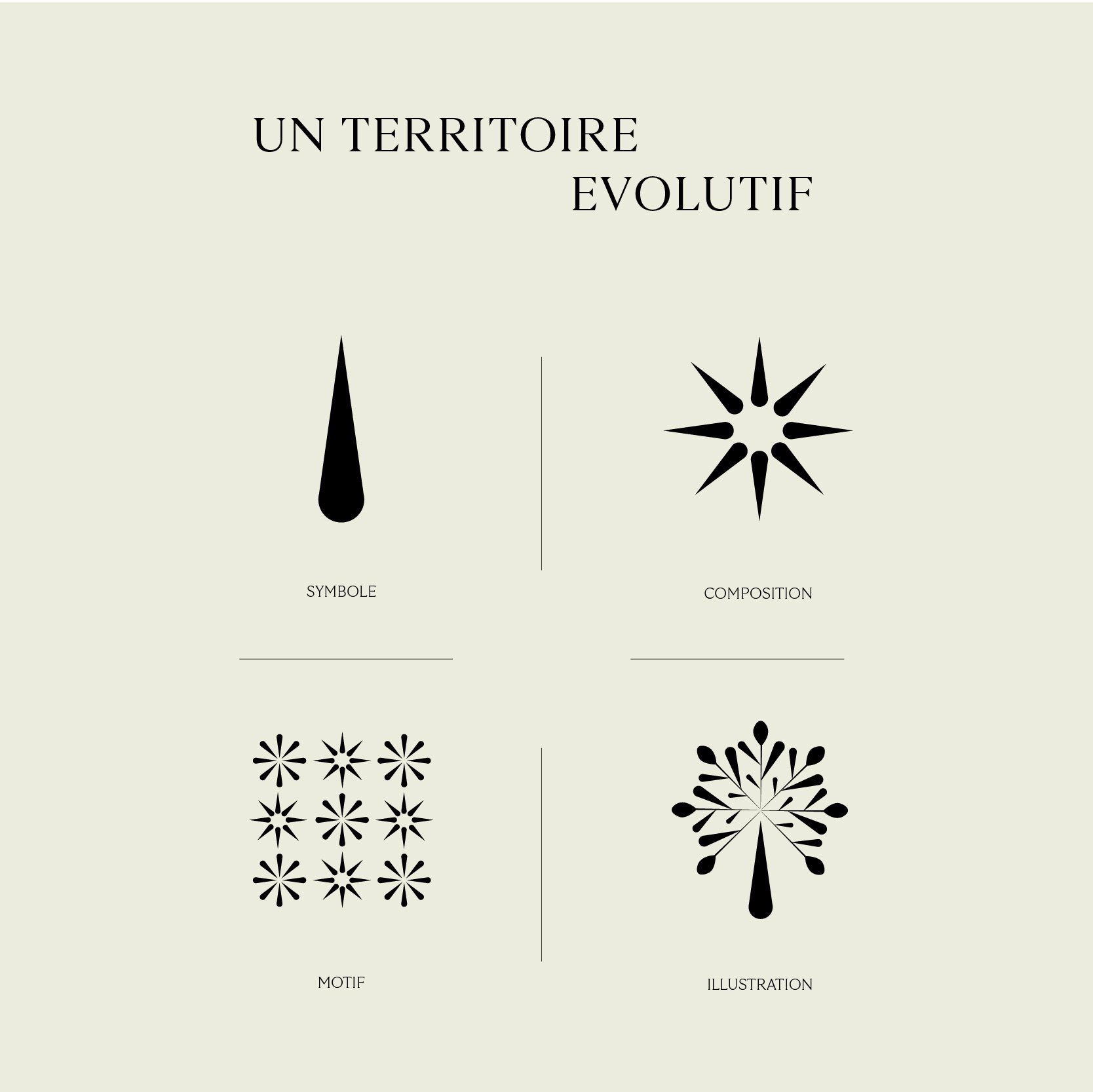 Territoire graphique évolutif du Domaine Dalmeran : symbole en forme de goutte, composition en étoile, motif et illustration d'olivier, identité visuelle