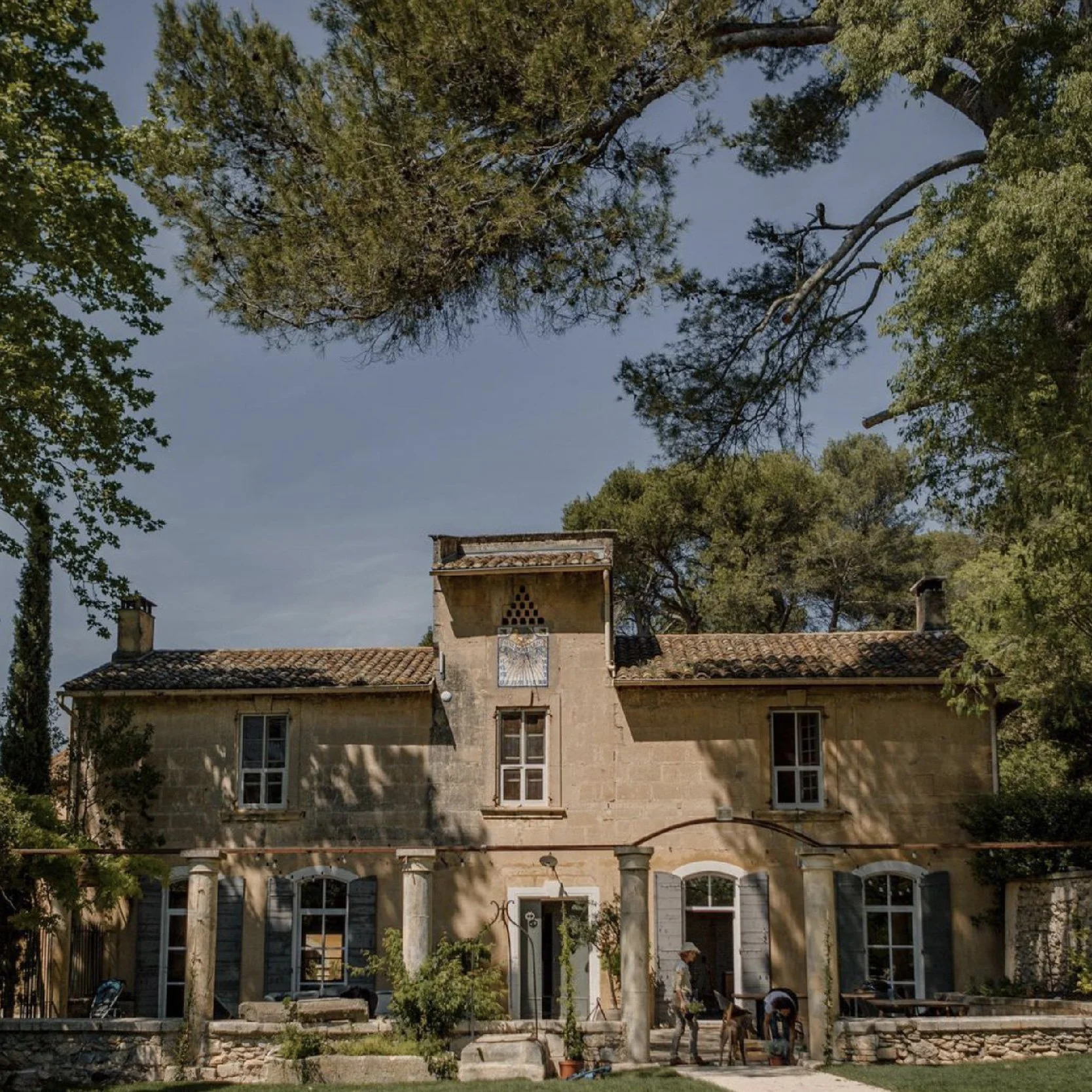 Bastide du domaine Dalmeran en pierre blonde, volets bleu-gris et pins, façade au cœur des Alpilles