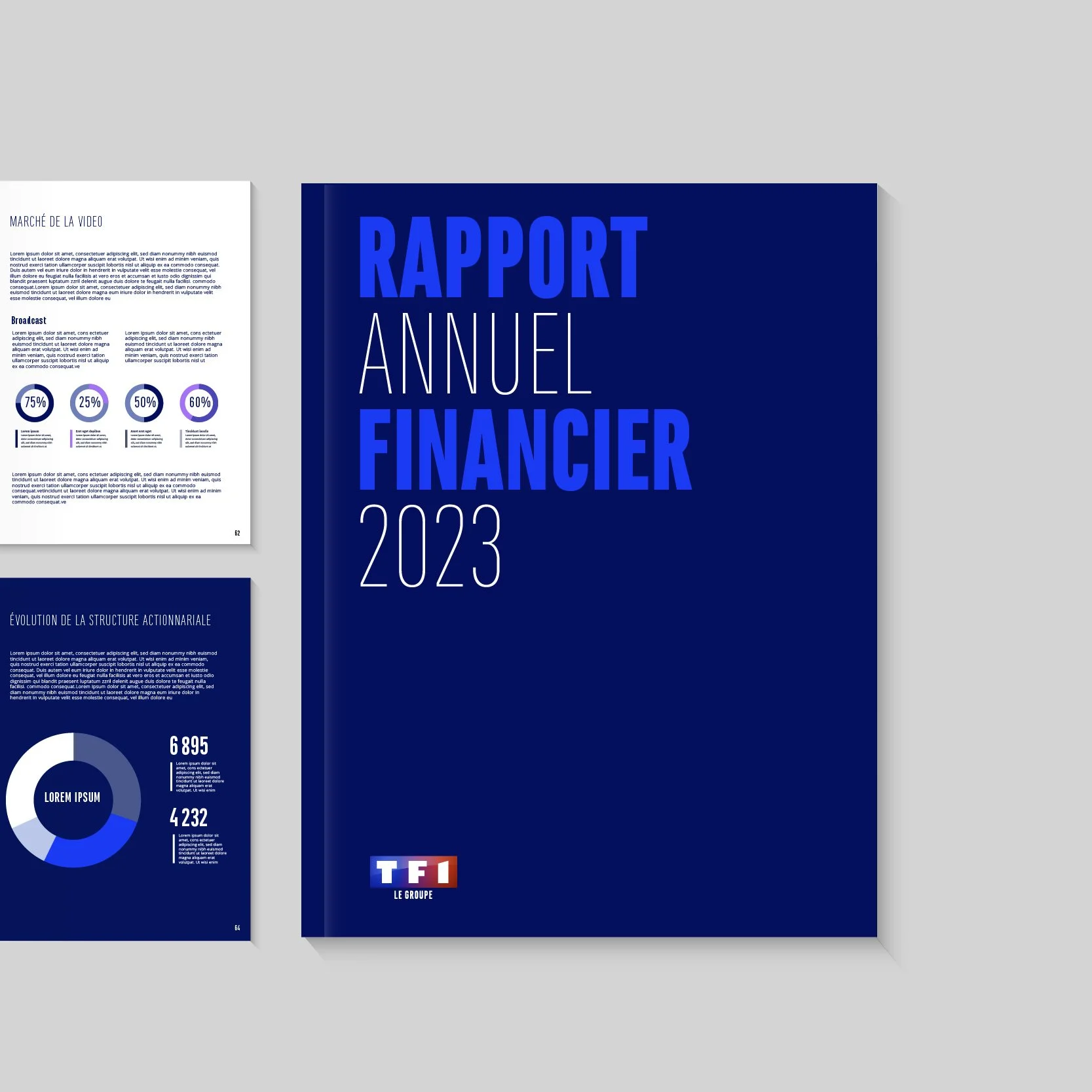 Rapport annuel financier TF1 Groupe, couverture bleu marine et pages intérieures avec graphiques, mise en page éditoriale