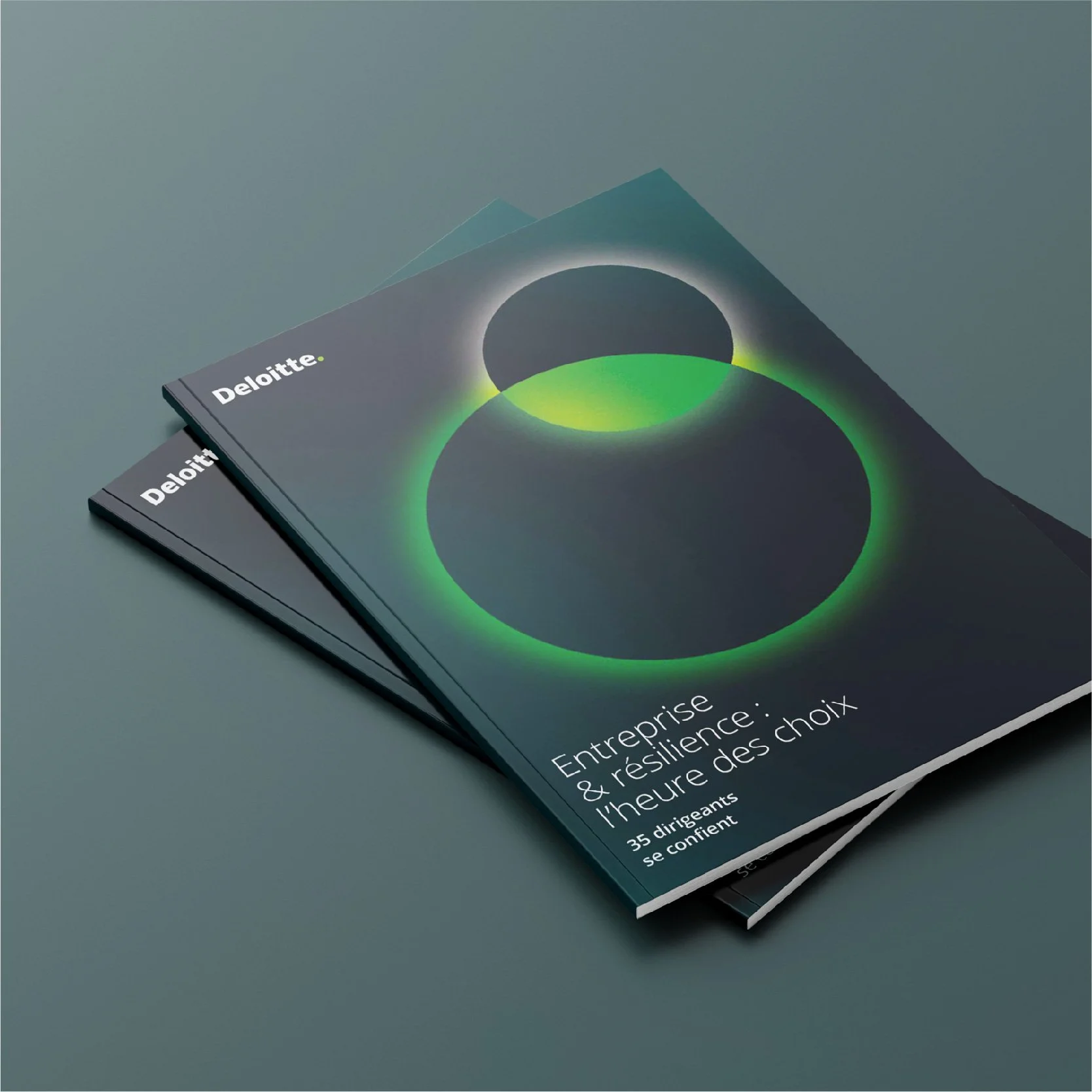 Deux brochures de Deloitte empilées, avec une couverture présentant un graphique de cercles de différentes tailles et couleurs. Le texte sur la couverture mentionne la résilience et la prise de décision dans les entreprises.
