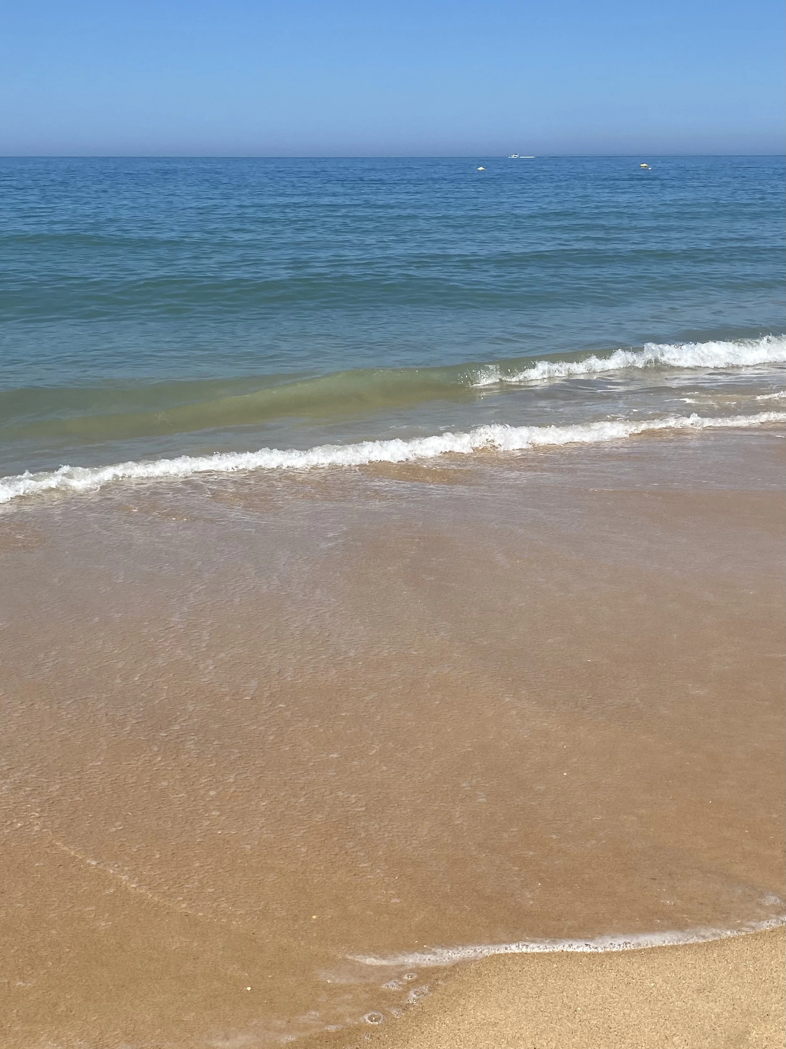 Calm ocean waves gently reaching sandy shore under clear blue sky.