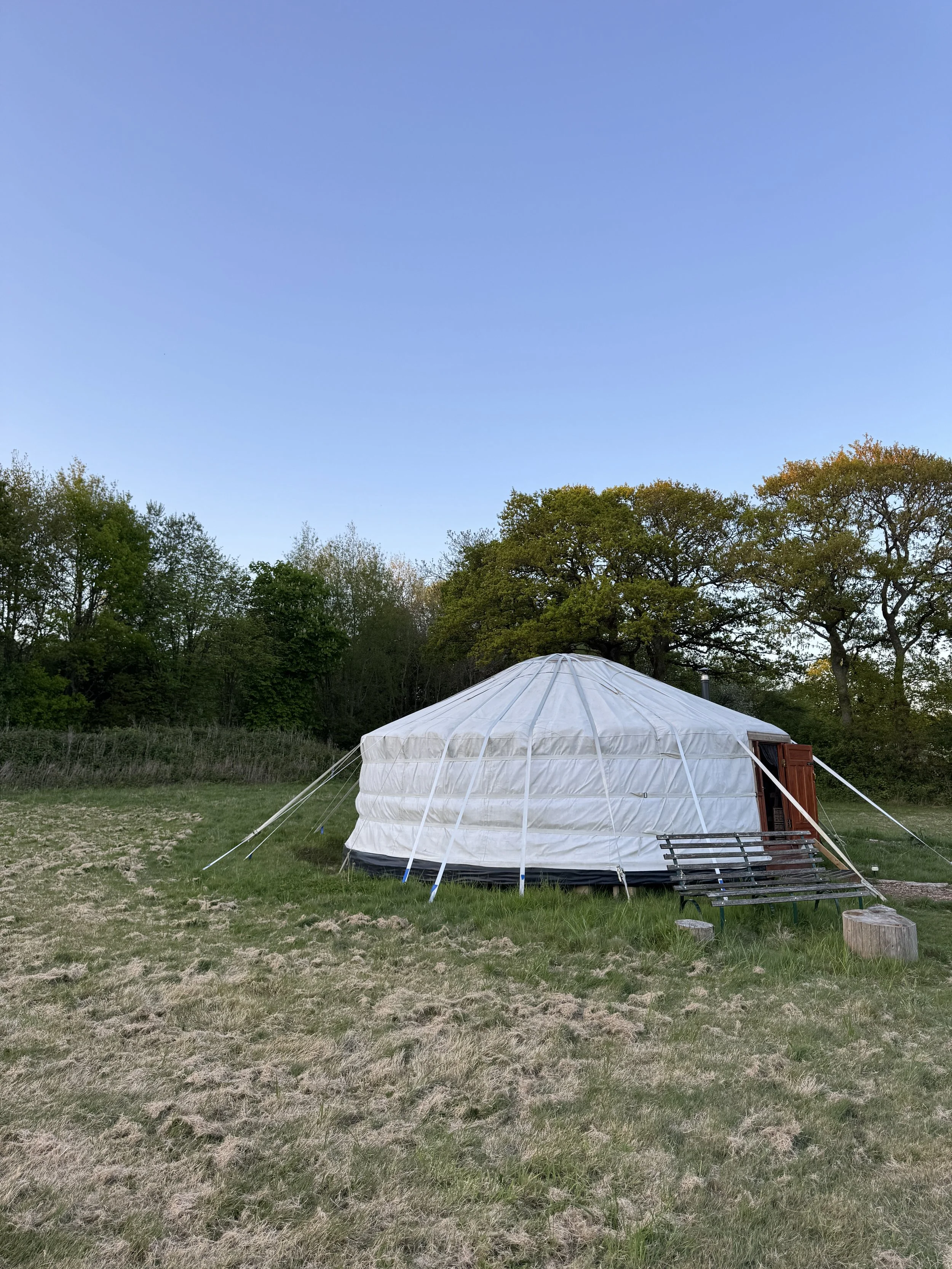 A white circular tent set up outdoors in a grassy area with trees in the background under a clear blue sky.