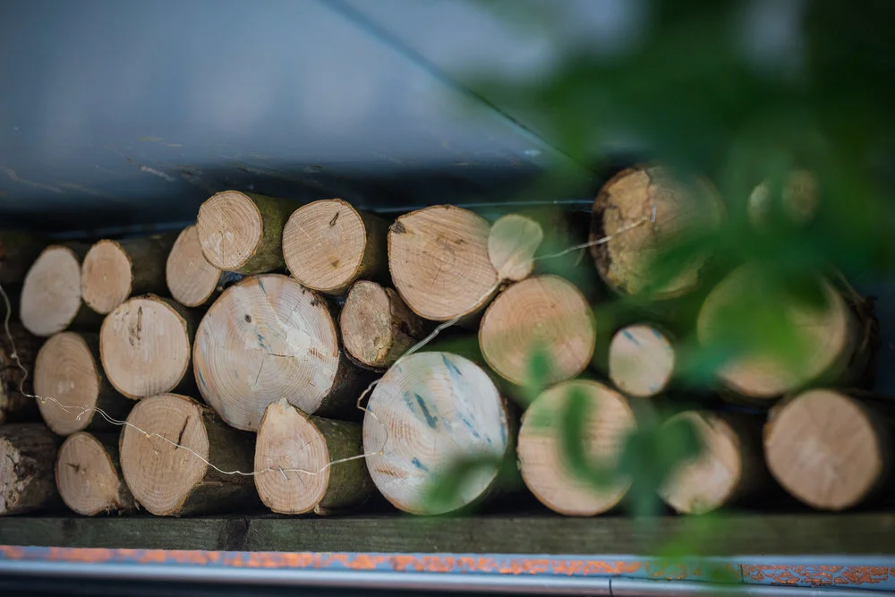 Stacked firewood logs with blurred greenery