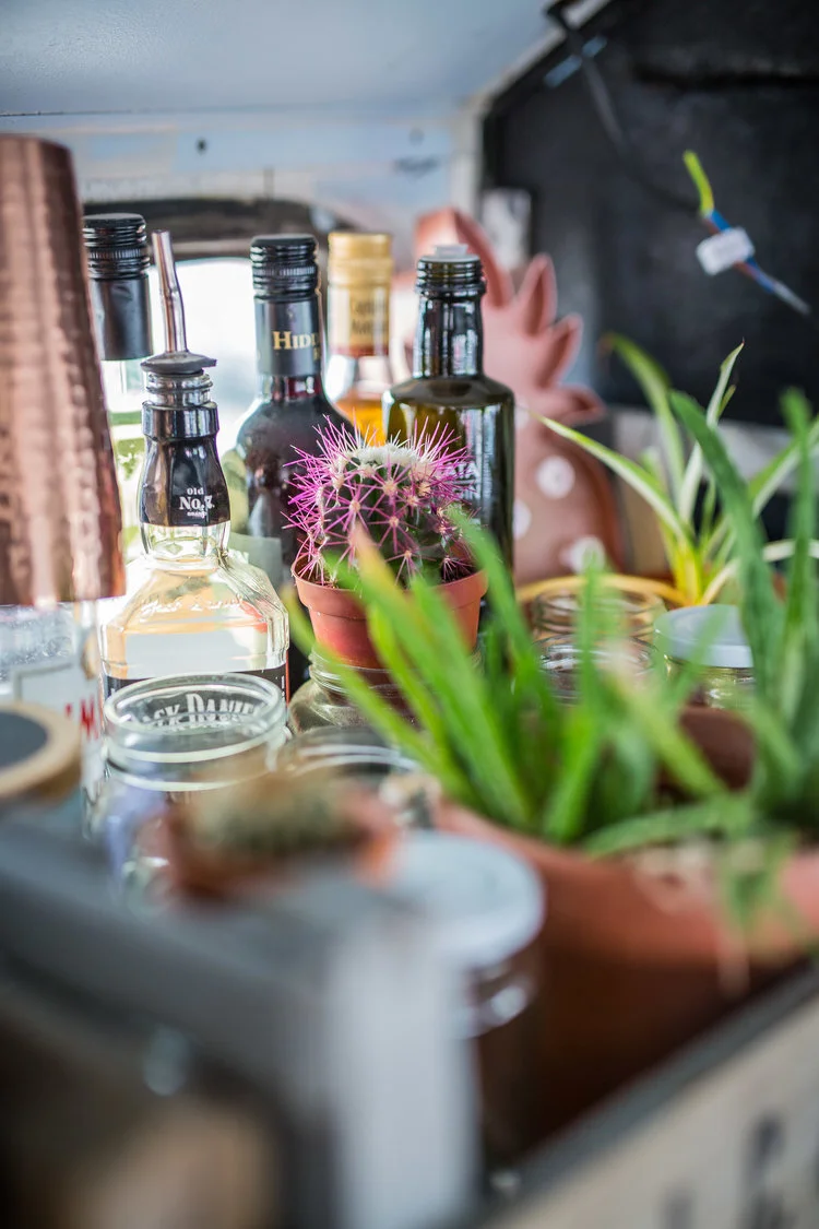 Collection of liquor bottles, a copper mug, and various potted plants including cacti arranged on a shelf.