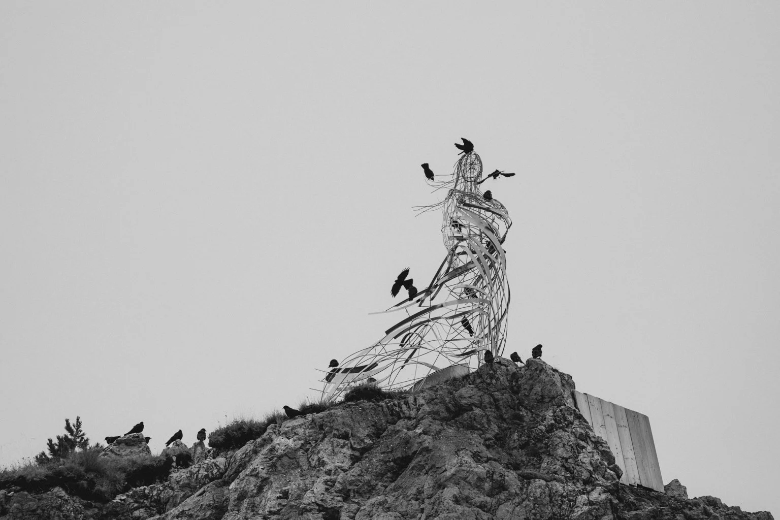 DSC09101-2 - copia.JPG