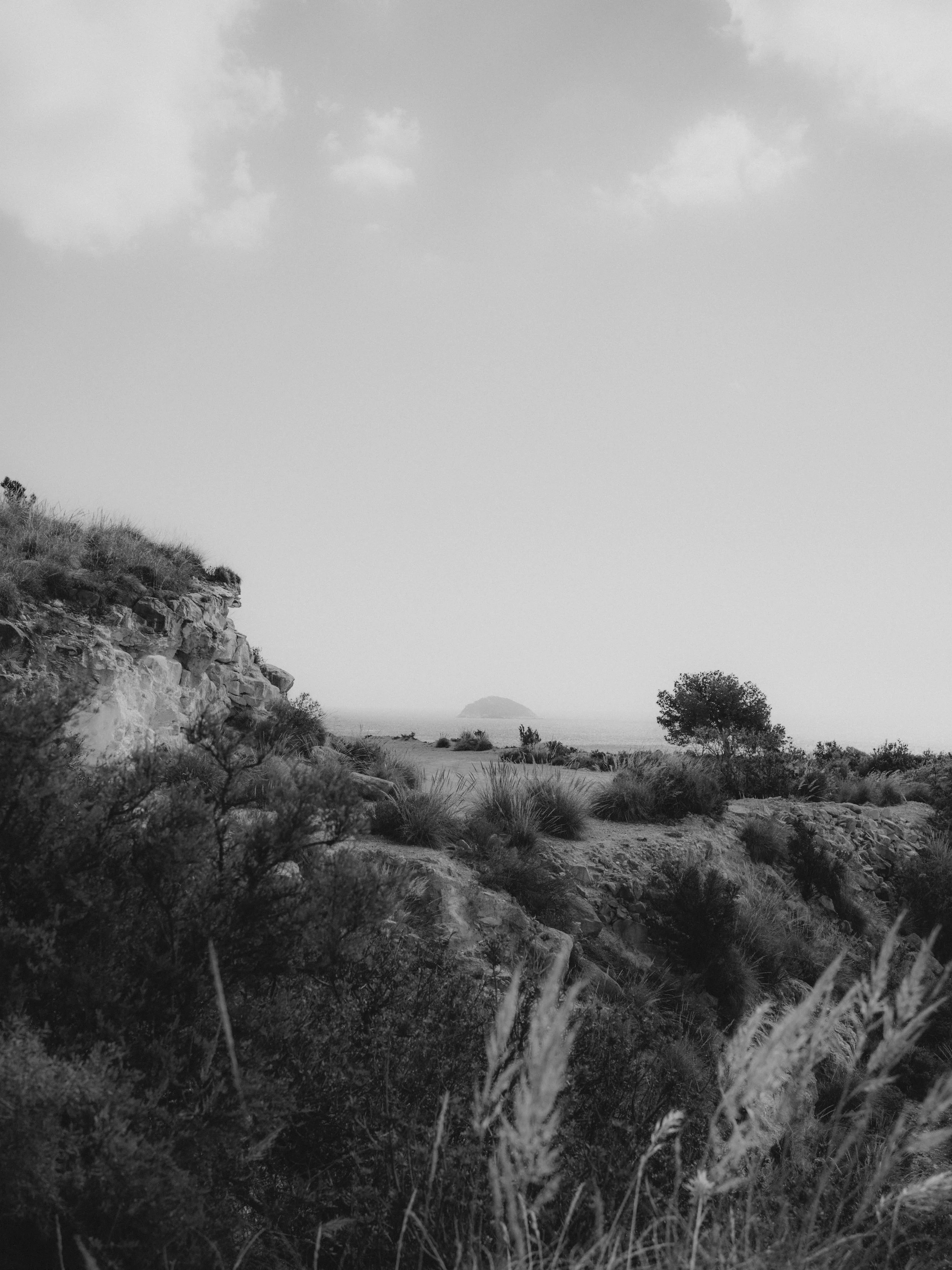 DSC09373-2.jpg