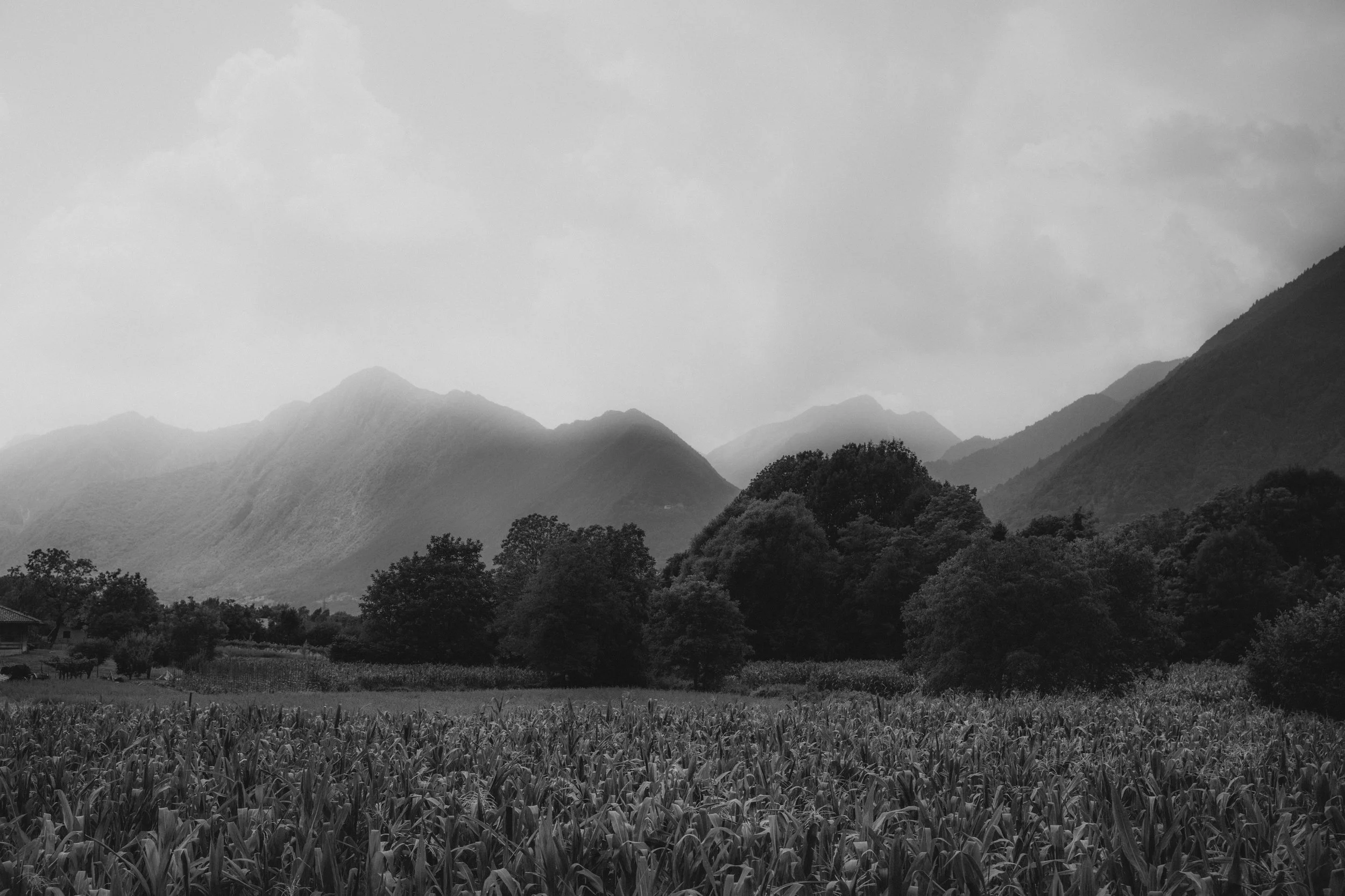 DSC02933-5.jpg