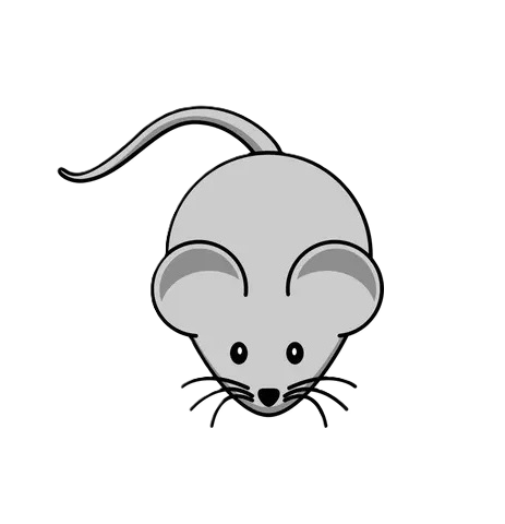 *squeak* *squeak*