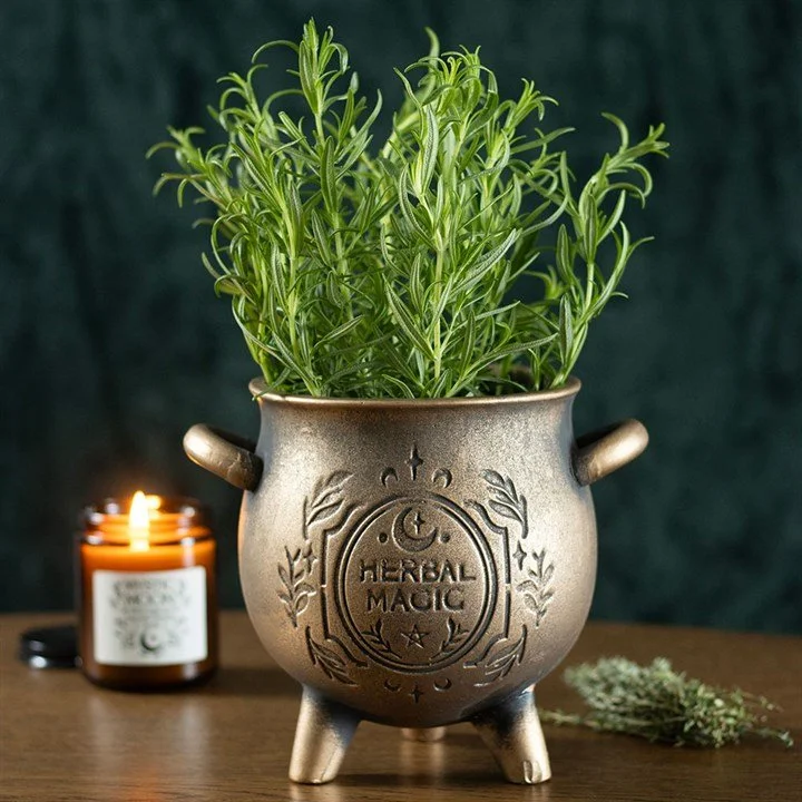 Herbal Magic Bronze Effect Terracotta Cauldron Plant Pot (example).jpg