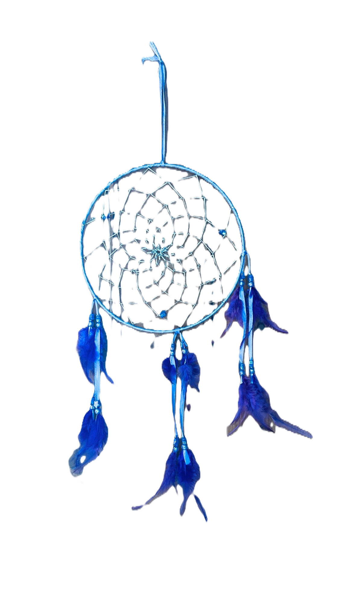 Dreamcatchers - Purple Feather (large)