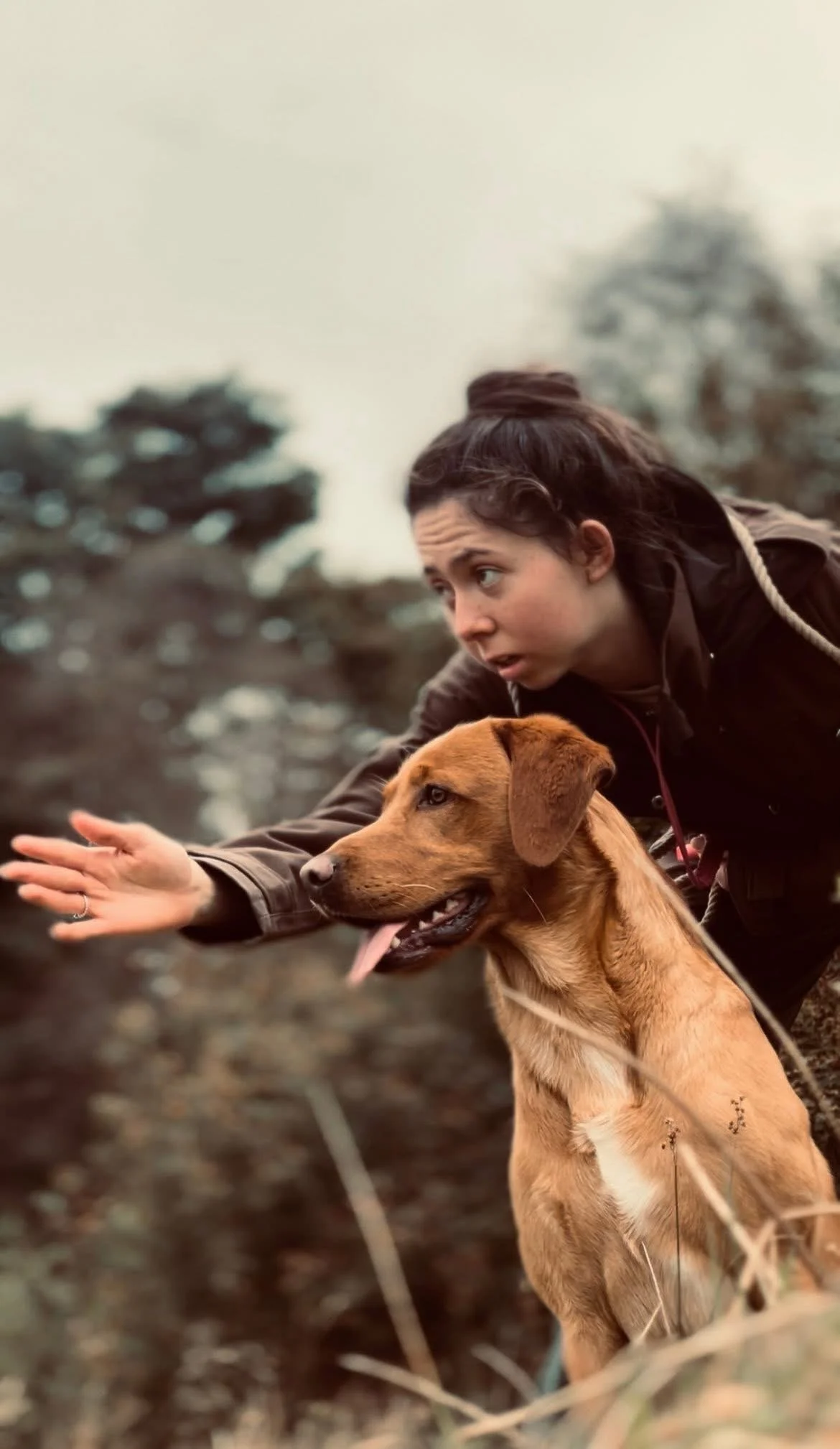 A woman with dark hair tied back in a bun plays fetch with a brown dog outdoors during daytime, with trees in the background.