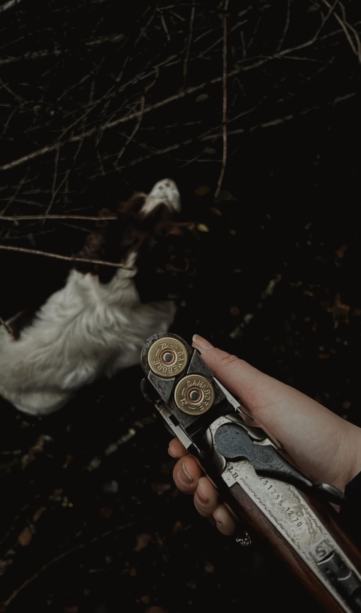 Person holding a revolver with bullets, aiming at a dog in a dark outdoor setting with branches around.