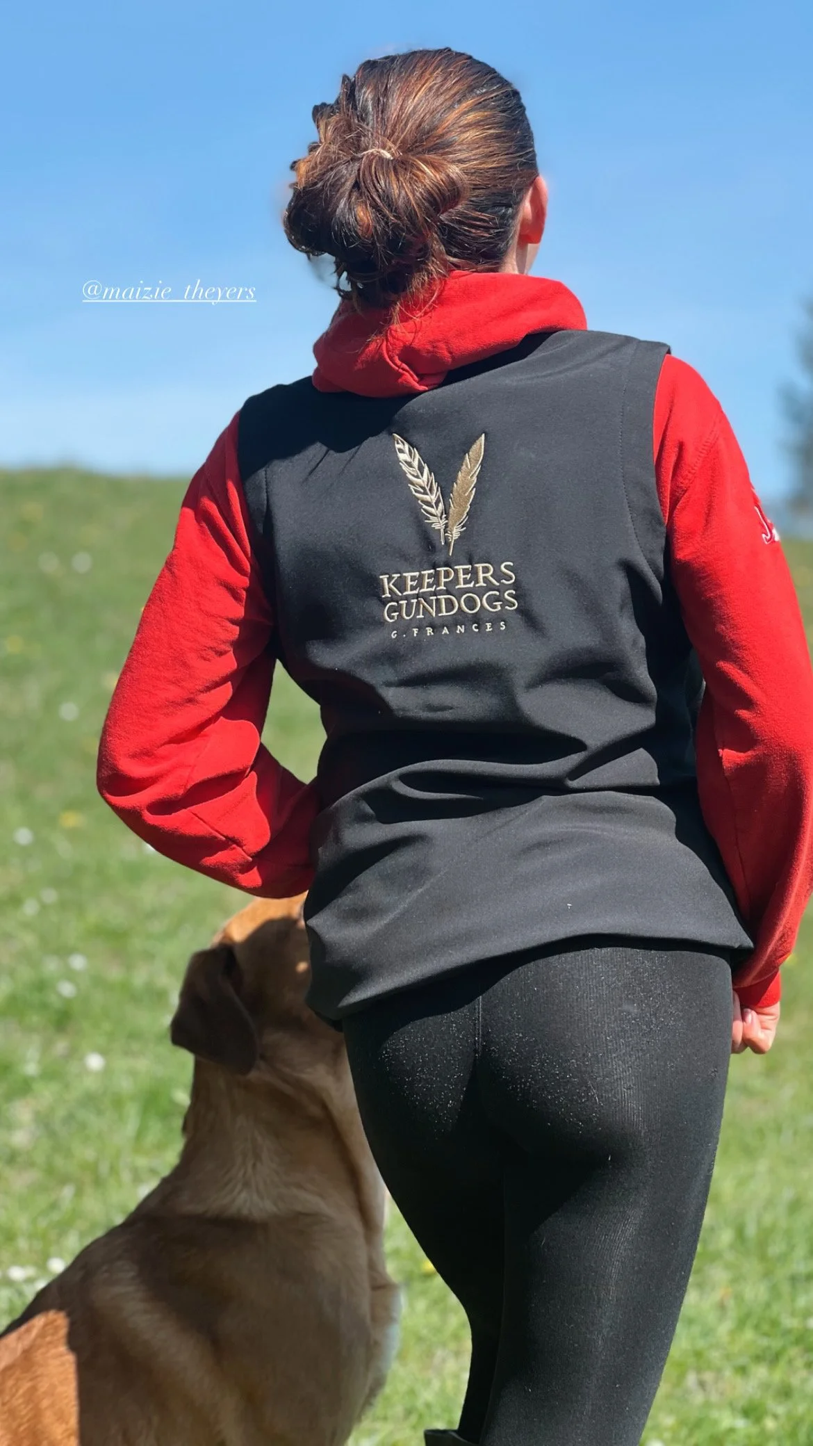 Softshell Gilet