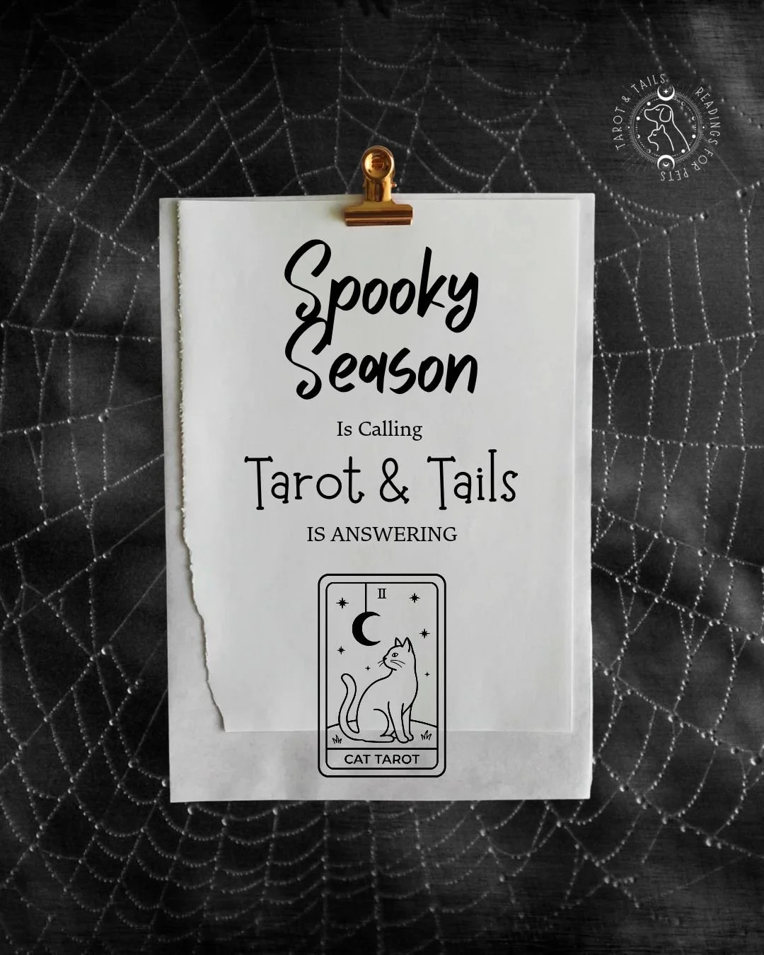 A sign hanging on a black spider web-patterned background announces the spooky season, calling for Tarot and Tails readings, with a small illustration of a cat tarot card featuring a sitting cat under the moon.