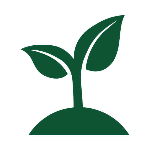 Green sprout with two leaves growing from a small hill.