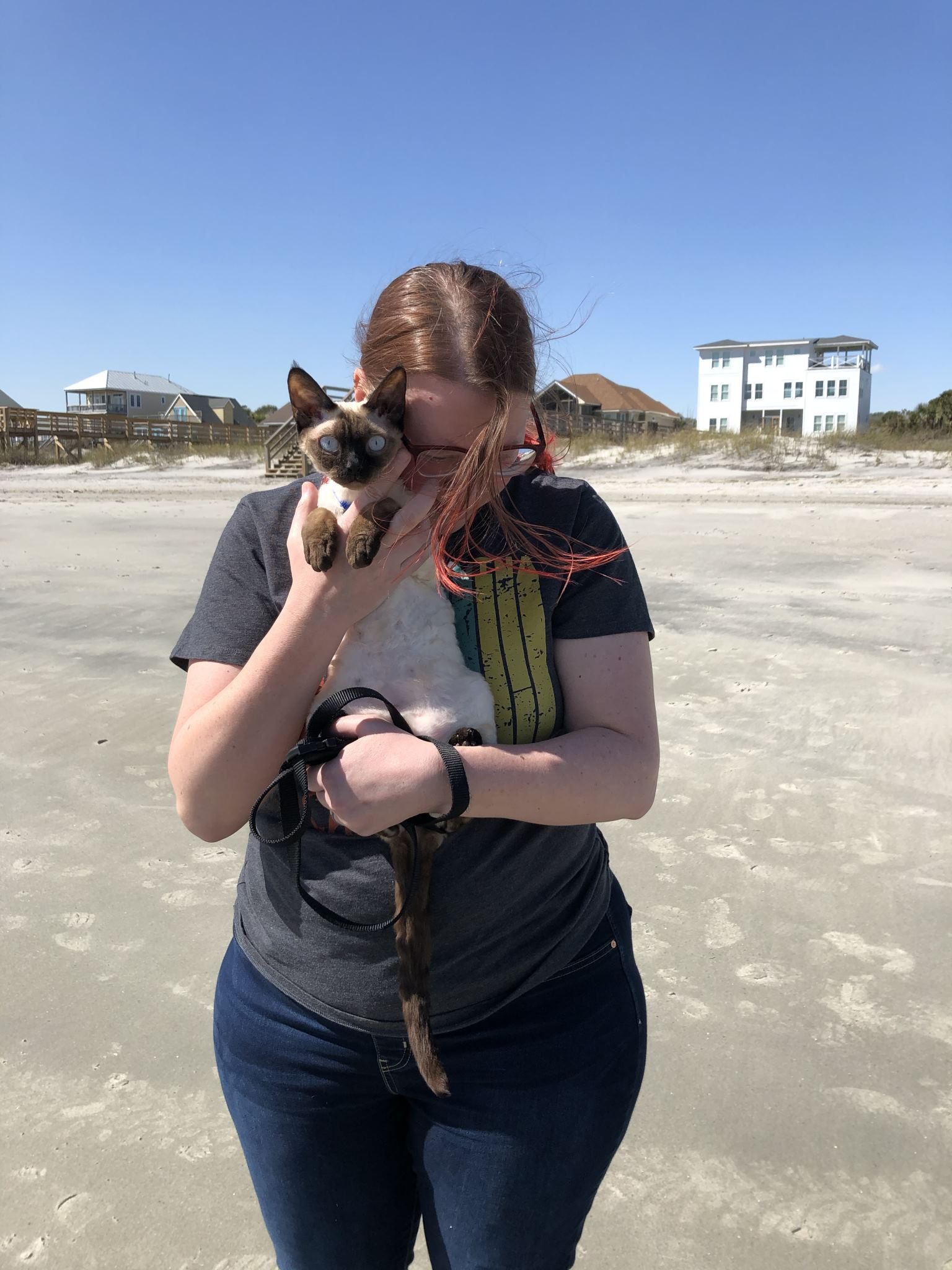 Person holding a Siamese cat with blue eyes on a sandy beach with houses in the background and a clear blue sky.