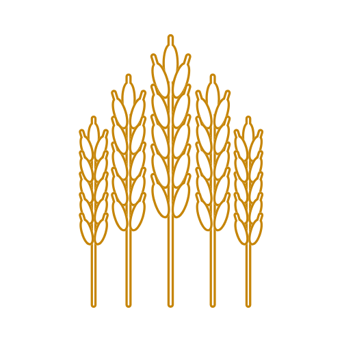 Stylized illustration of five wheat stalks in gold against a black background.