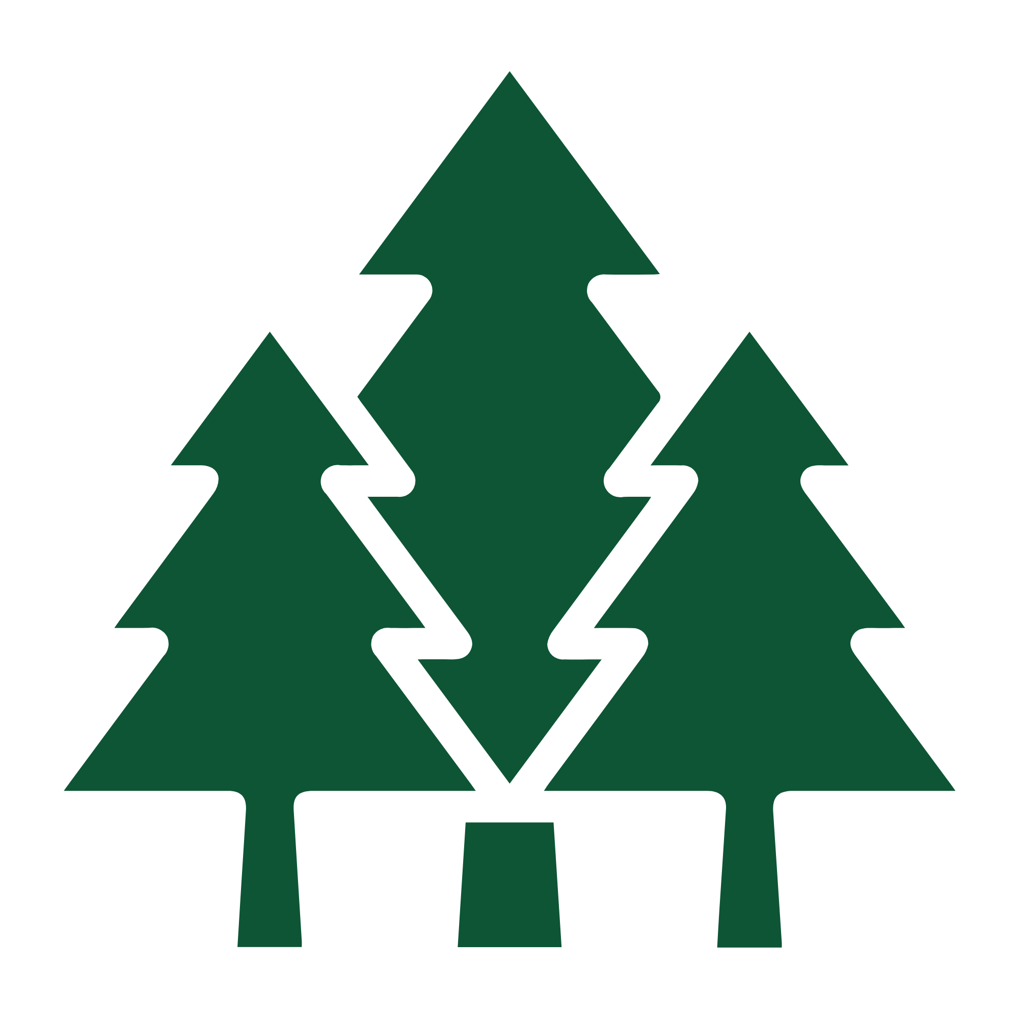 Illustration of a tall pine tree with smaller trees on either side, all in green with black outlines.