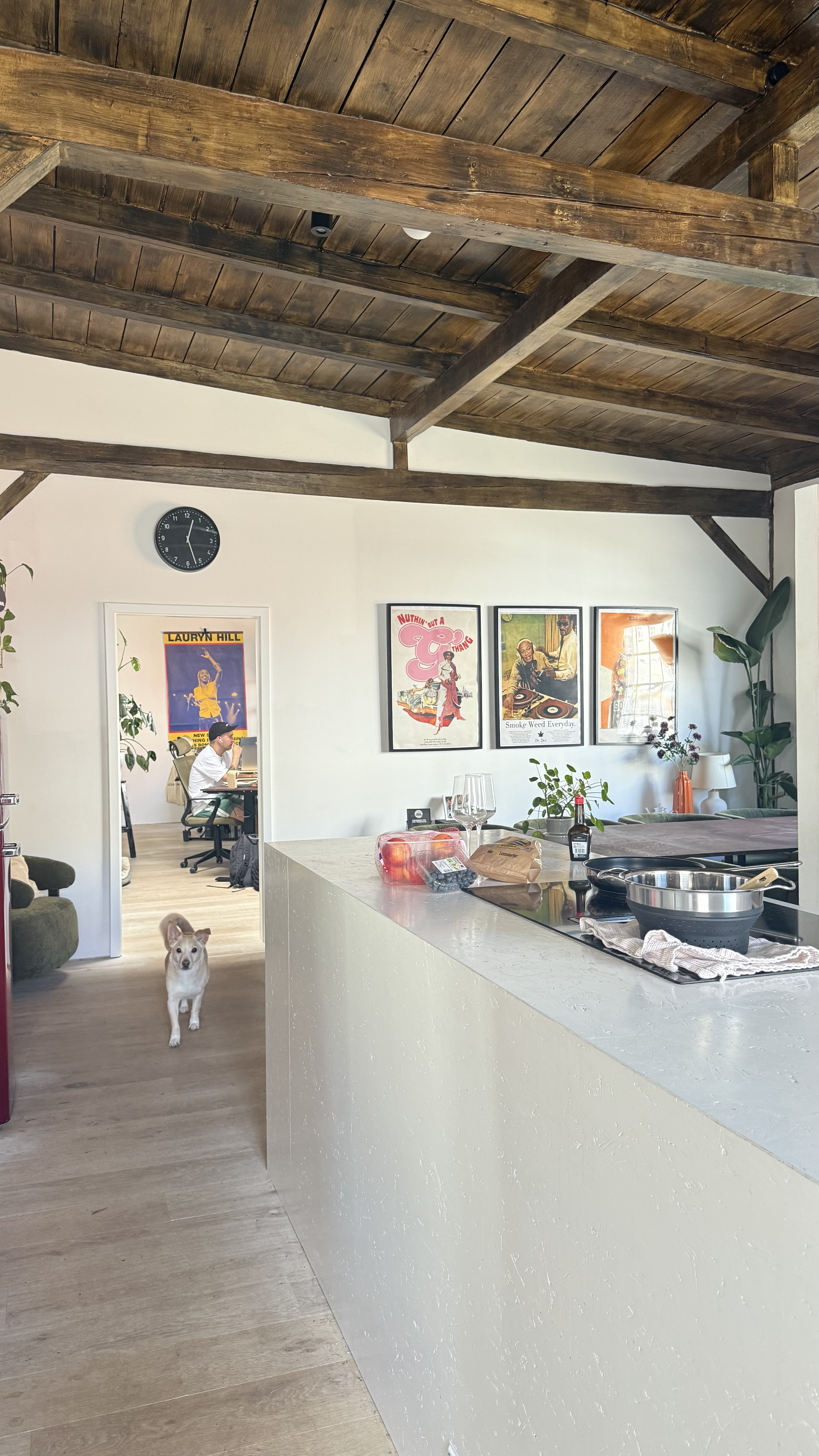 Ein luftiges Wohnzimmer mit Holzbalkendecke, moderner Einrichtung, Posters an der Wand, einem Hund im Vordergrund und einer Person im Hintergrund am Schreibtisch.