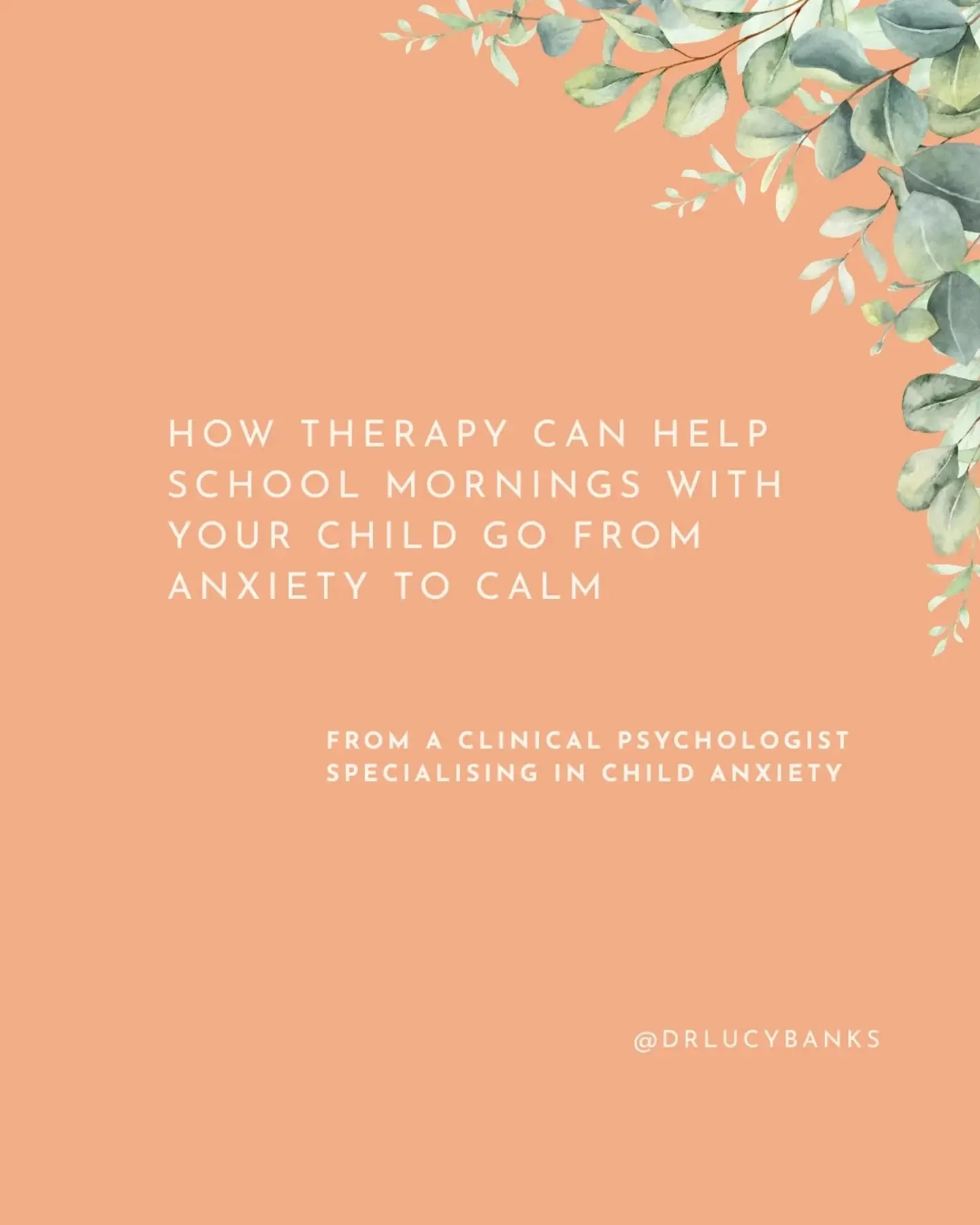 As your therapist, I aim to understand what is going on for your child and make changes to the environment at school wherever possible. However it isn't always possible to change the environment, some things just come with the territory at school, an