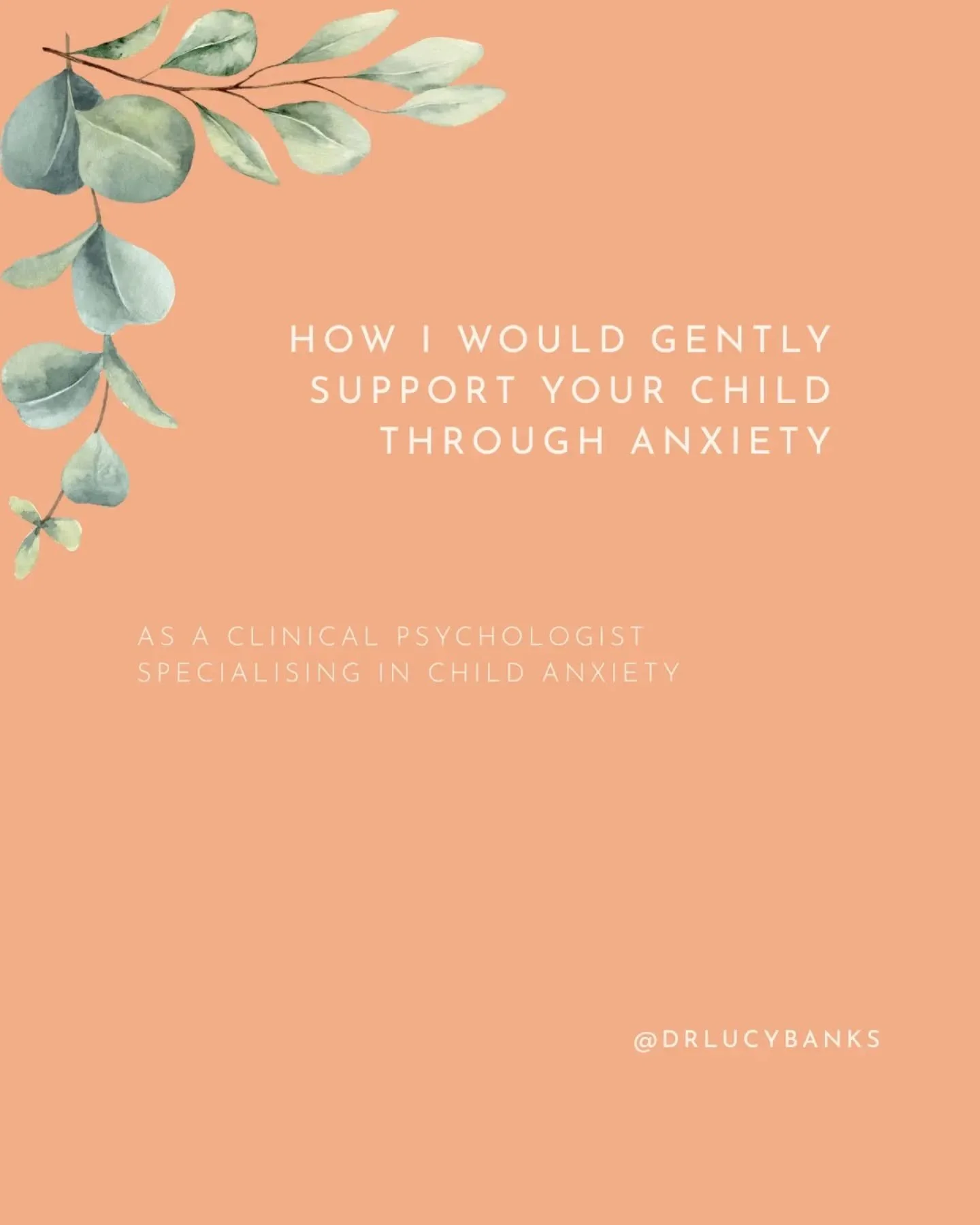I work with young people and their parents to overcome anxiety by building resilience, teaching skills and strategies and strengthening their connection to their support system. I hope that I can help young people to find a life that is rich and fulf