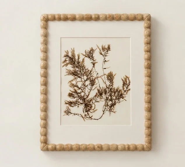 Hand Pressed Pacific Seaweed Framed Art