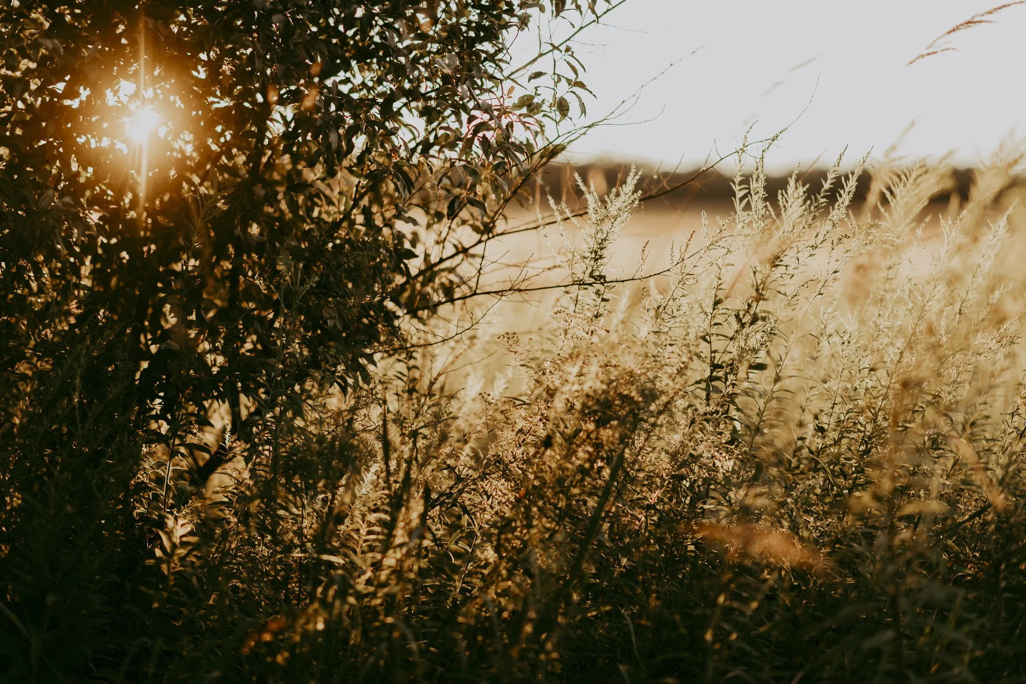 Bridget_Laudien_Asheville_Sunset.jpg