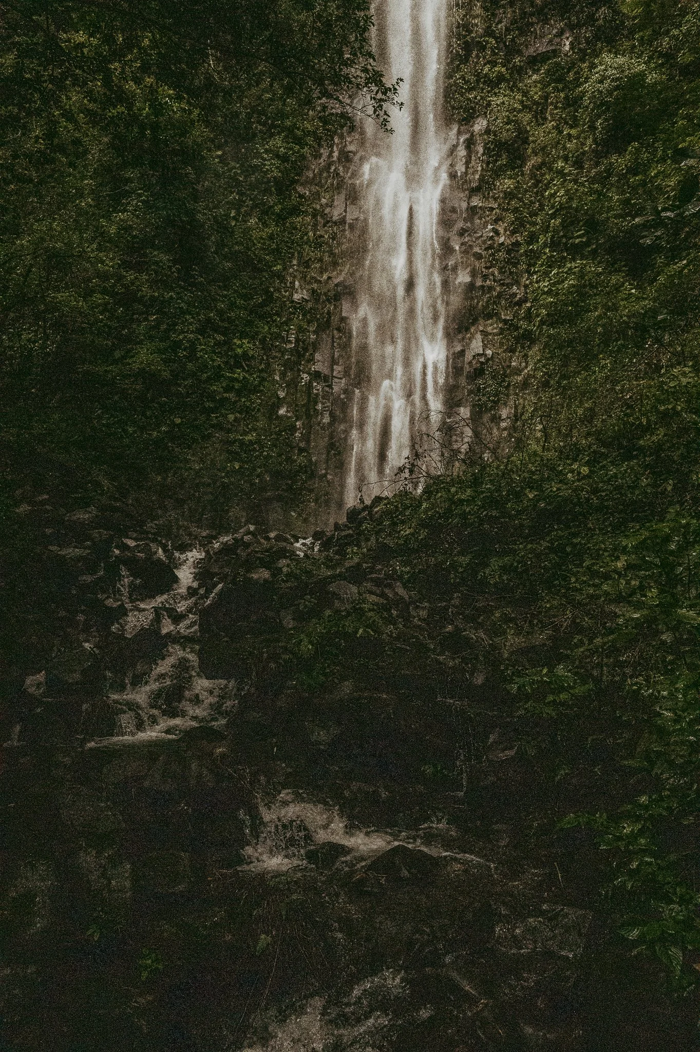 LaudienCostaRica-118.jpg
