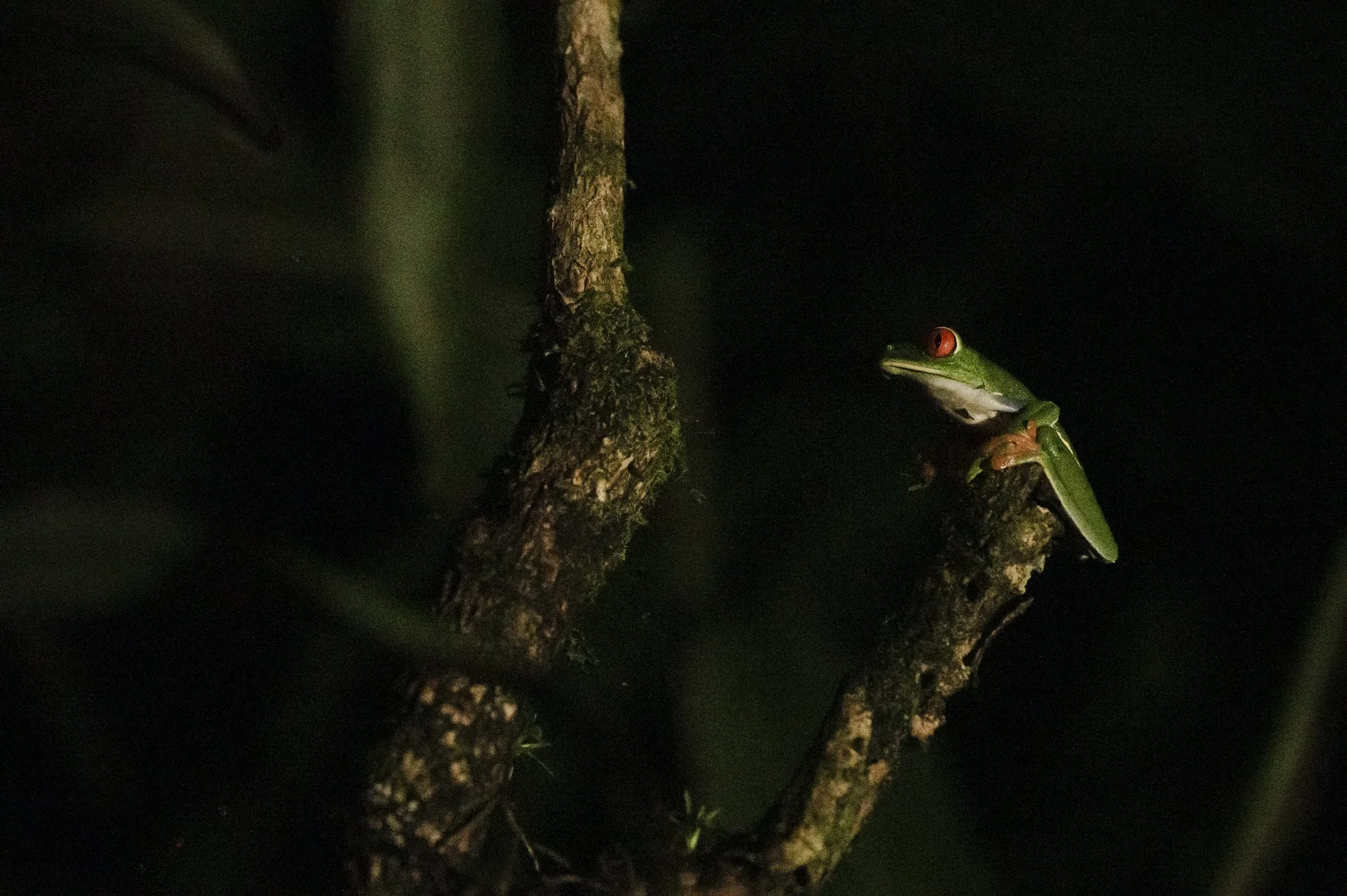 LaudienCostaRica-159.jpg