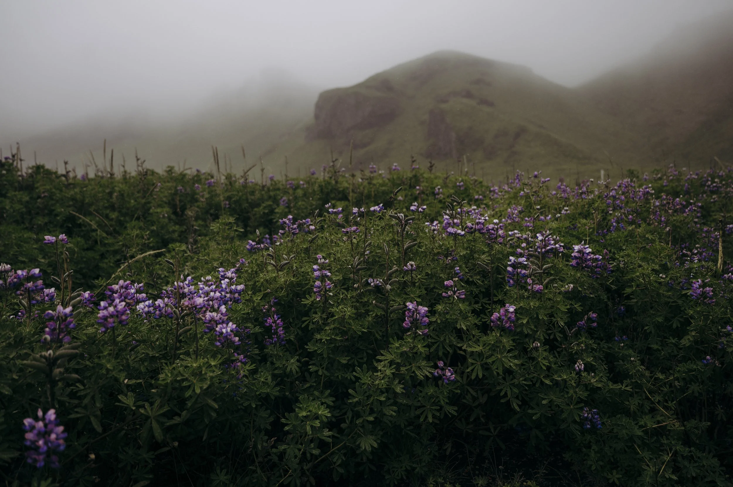 Iceland-Digital-5.jpg