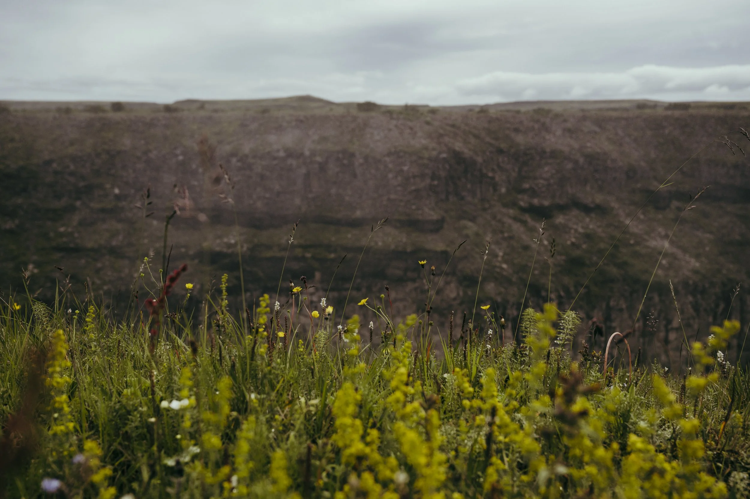 Iceland-Digital-15.jpg