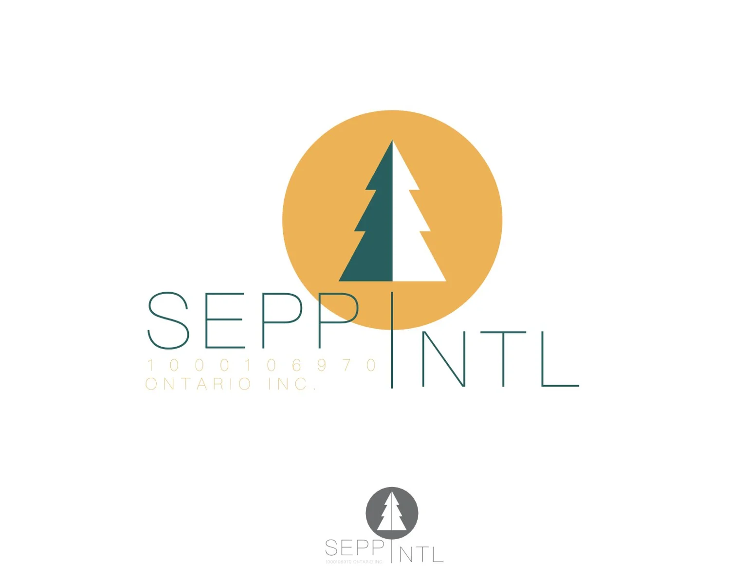 SEPP INTL INC 