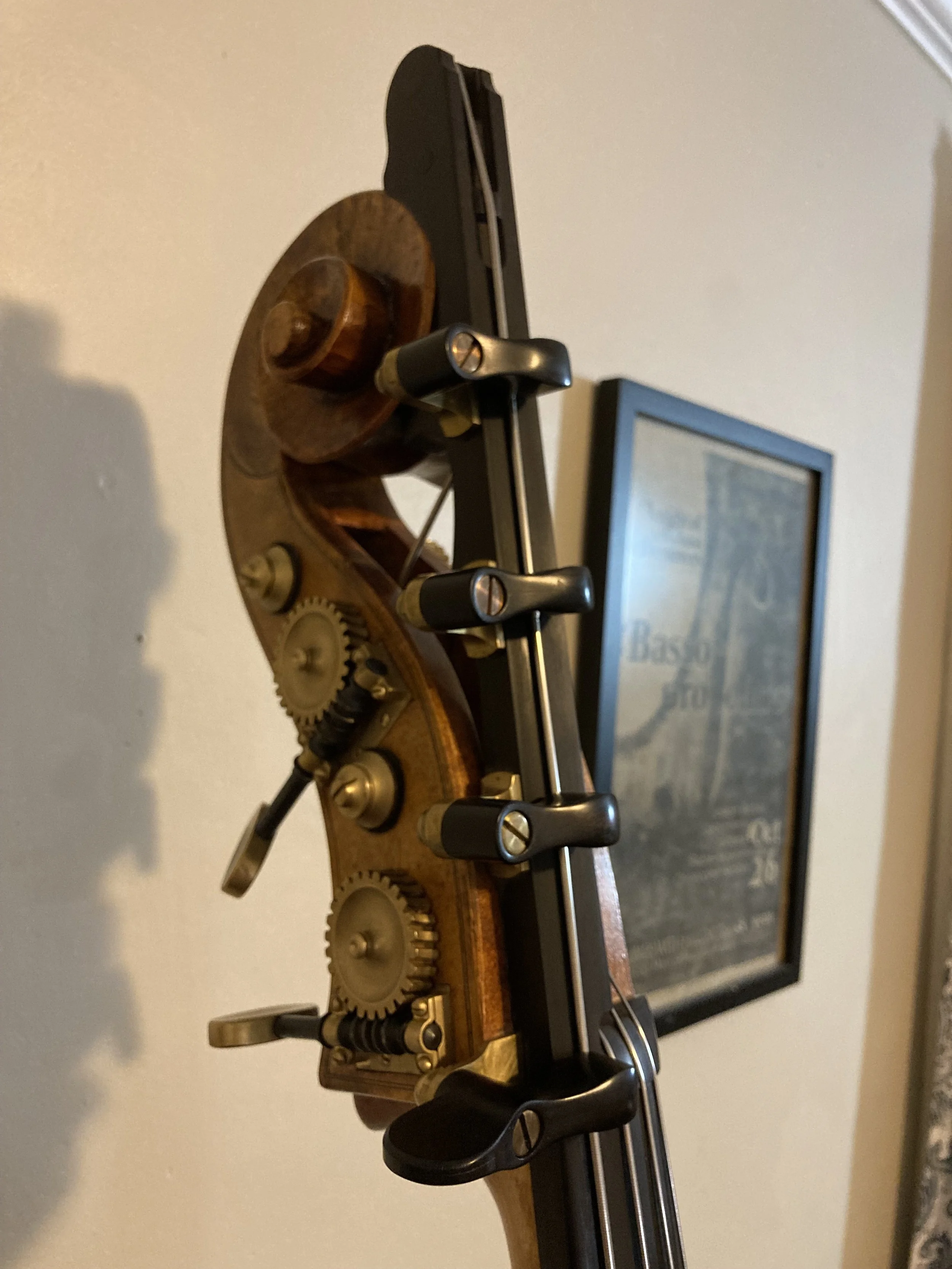 Beginner Bass Intensive!