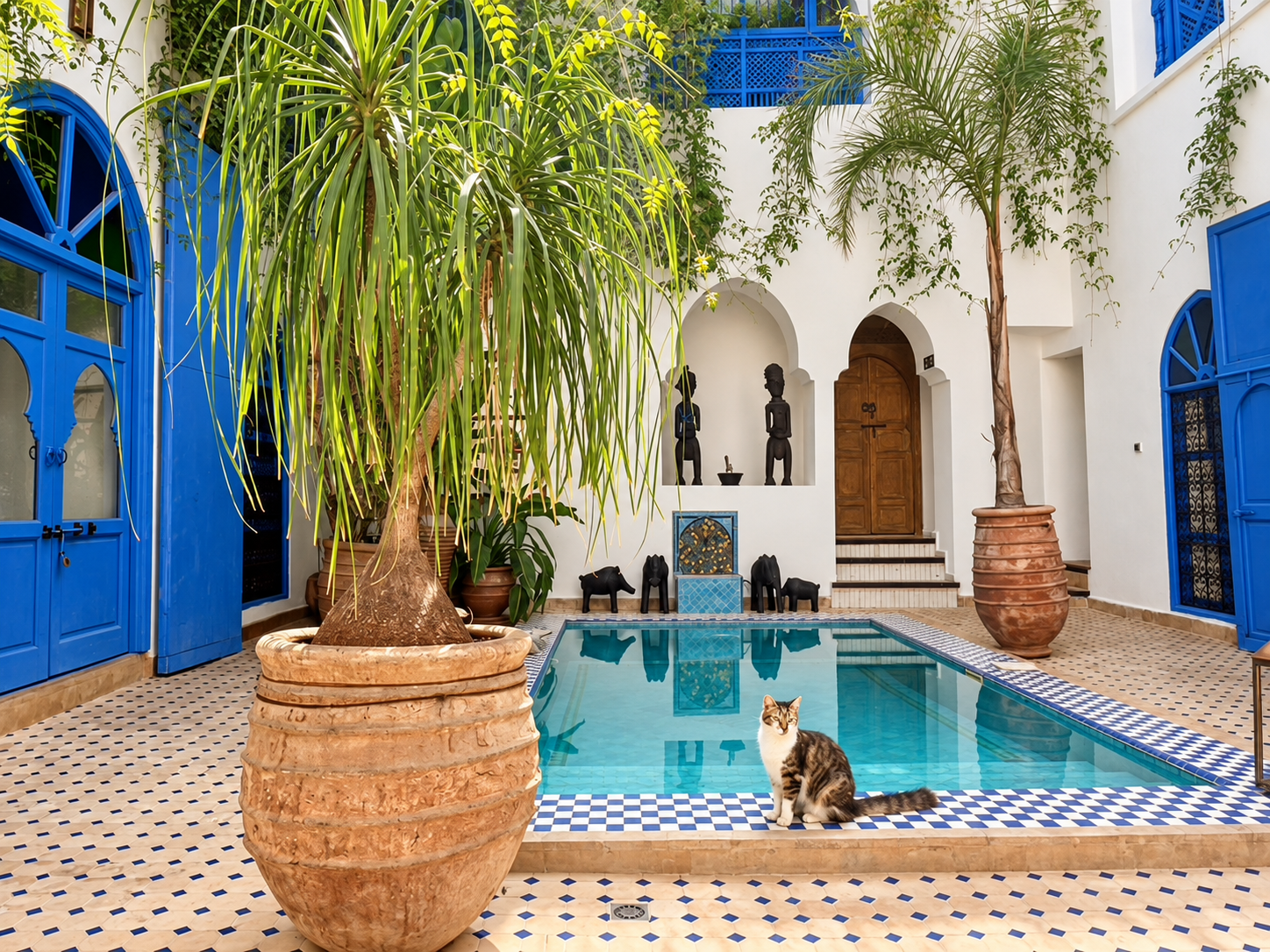 Courtyard with a small swimming pool, two large potted plants, blue doors and windows, white walls, an arched wooden door, black African or tribal art sculptures, a cat sitting by the pool, and tiled flooring.