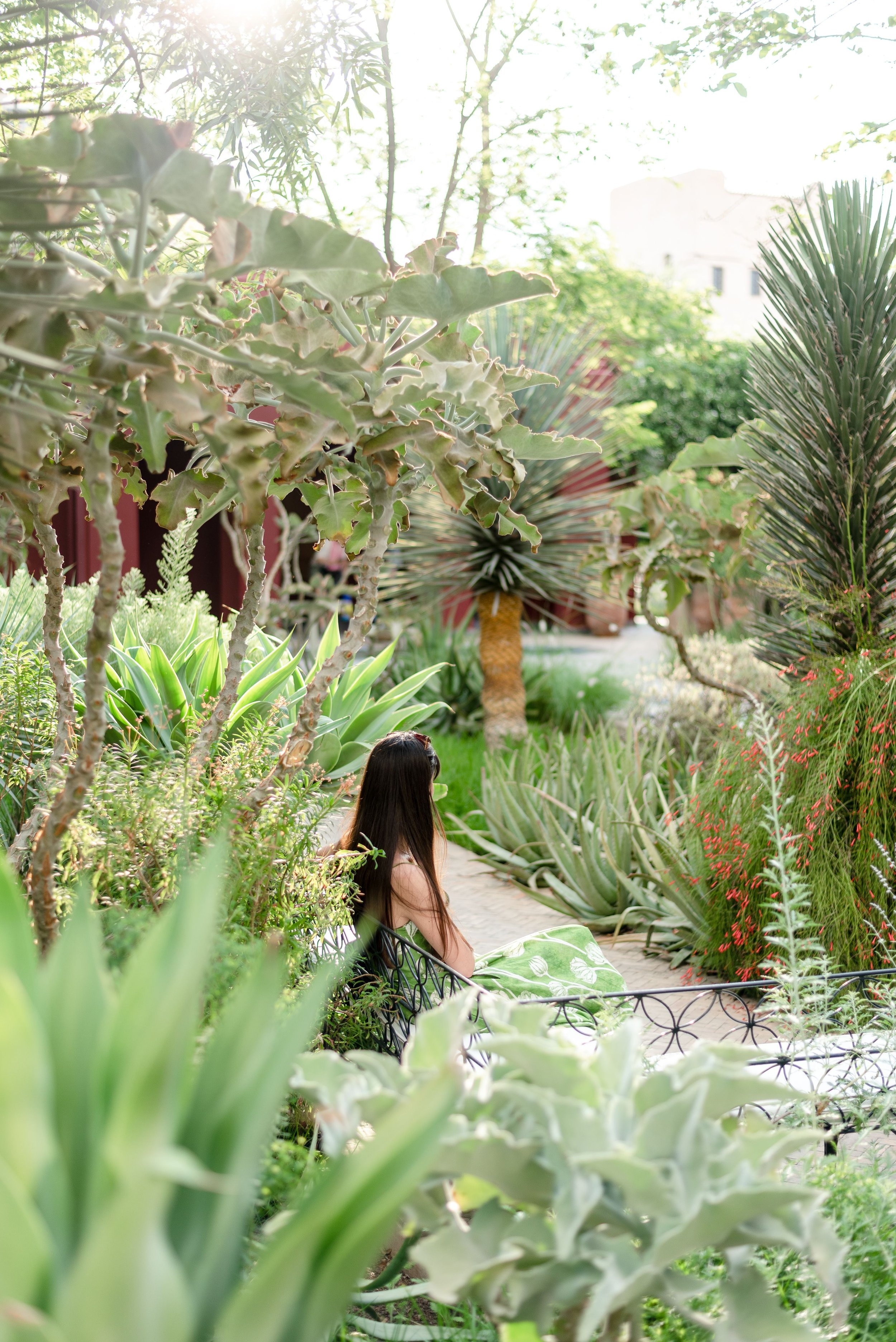 A person sitting on a park bench surrounded by lush green plants and succulents, with sunlight filtering through the trees filled with green leaves.